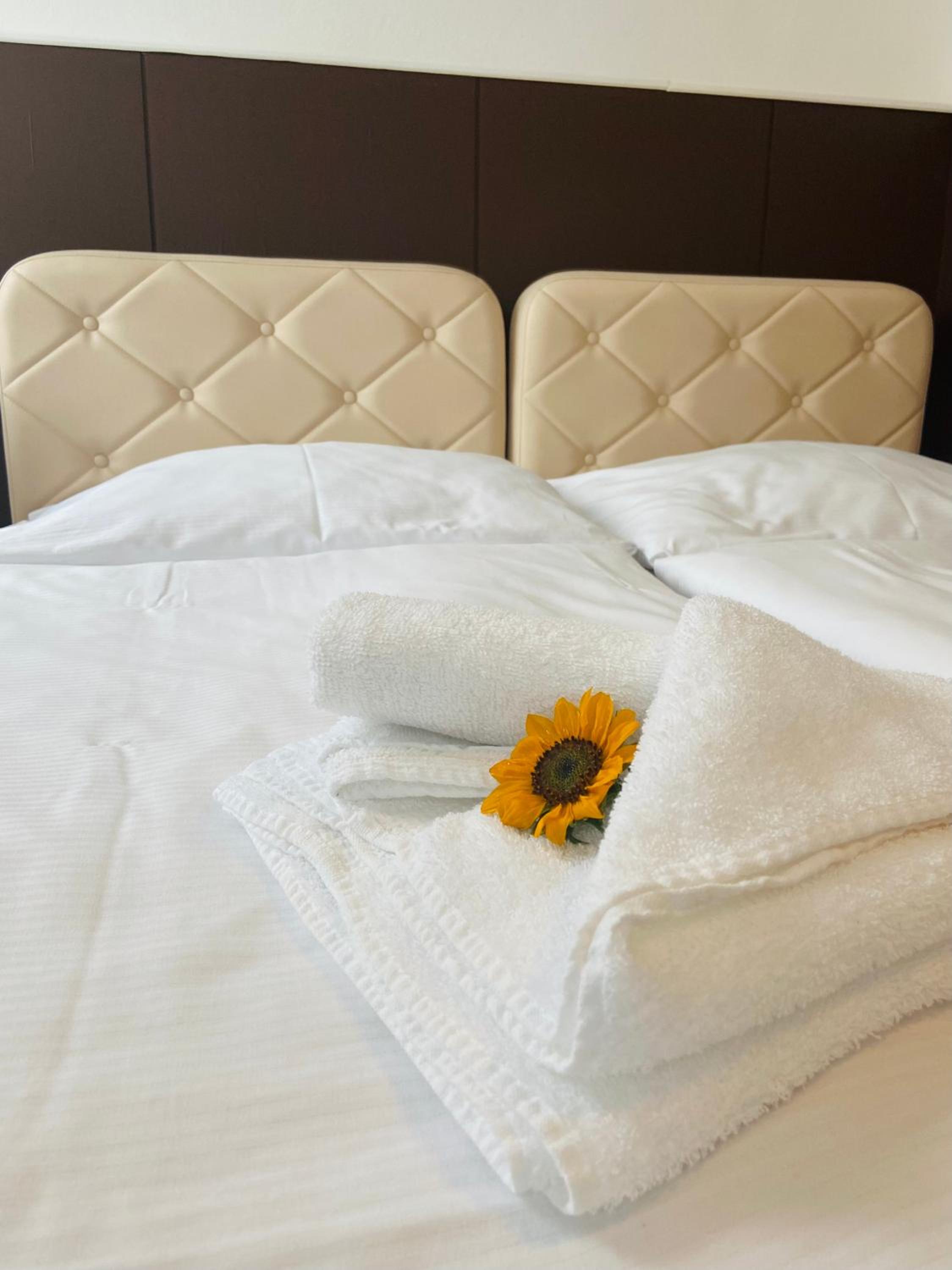 Superior Double or Twin Room photo 2