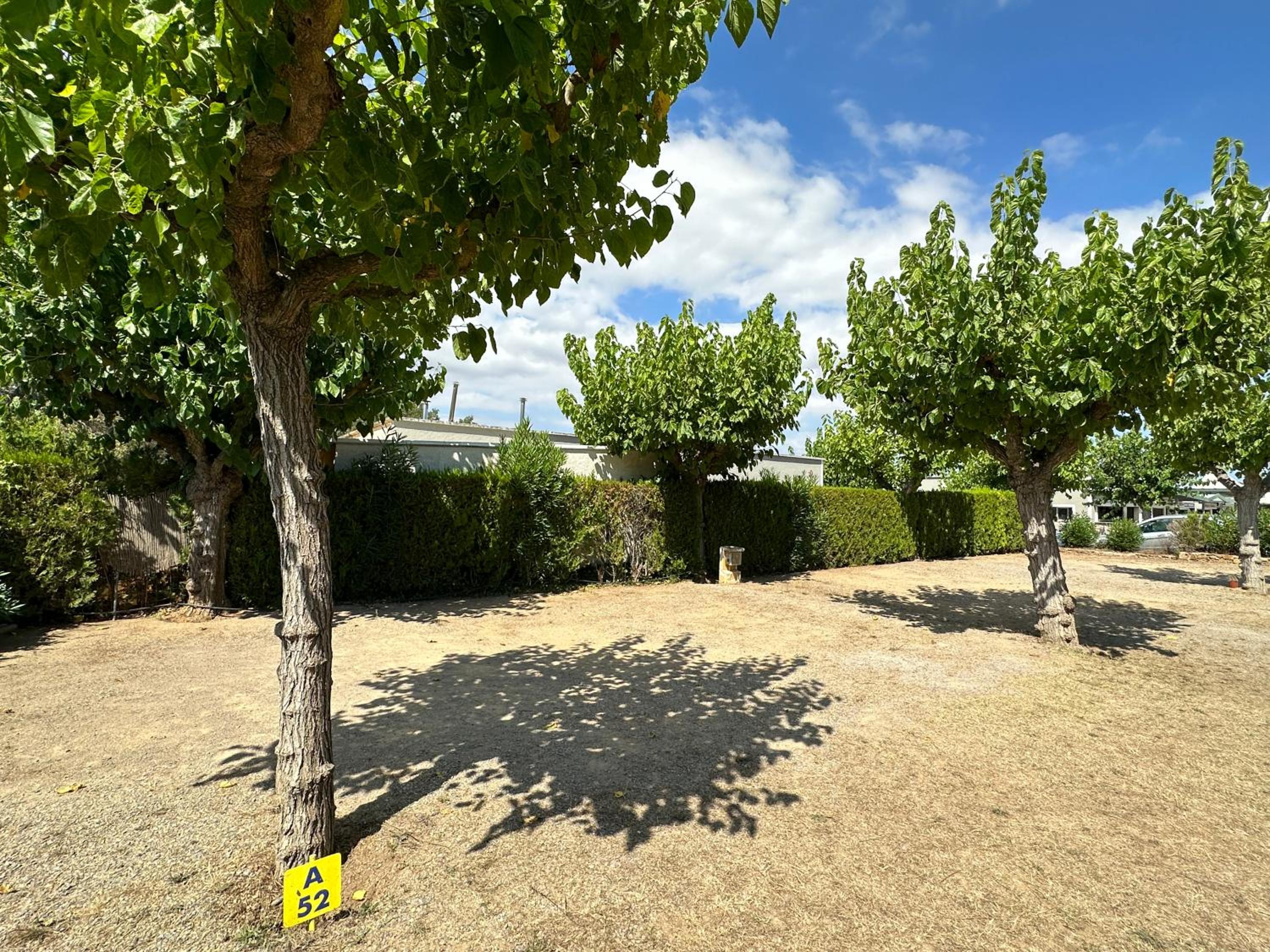 Empty Spot with electricity and water (bring own tent or caravan) photo 3