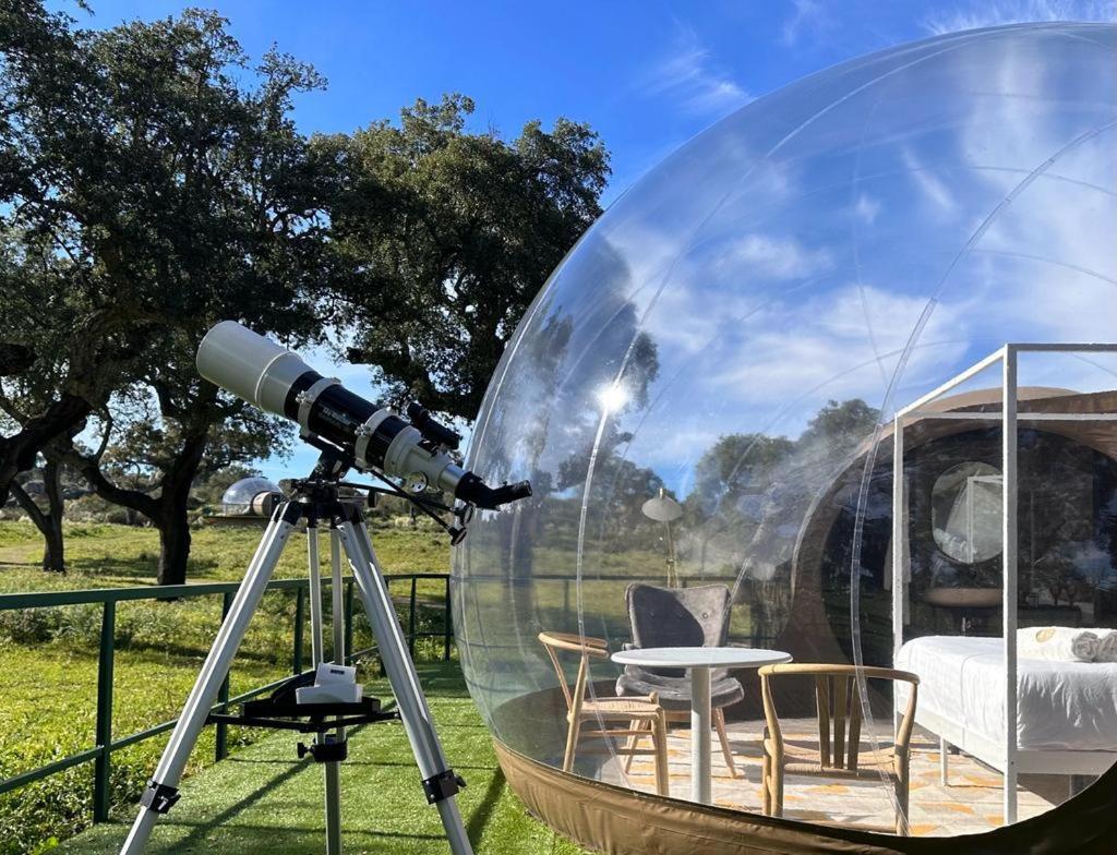 Habitación Queen con vista al jardín