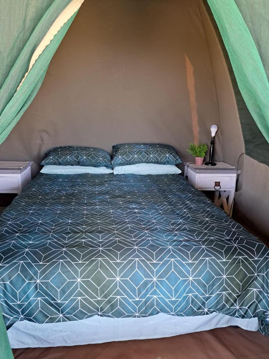 Tent - Photo 35