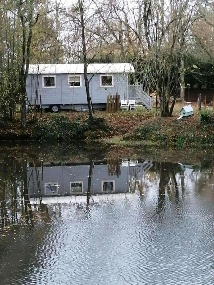 Mobile Home photo 3
