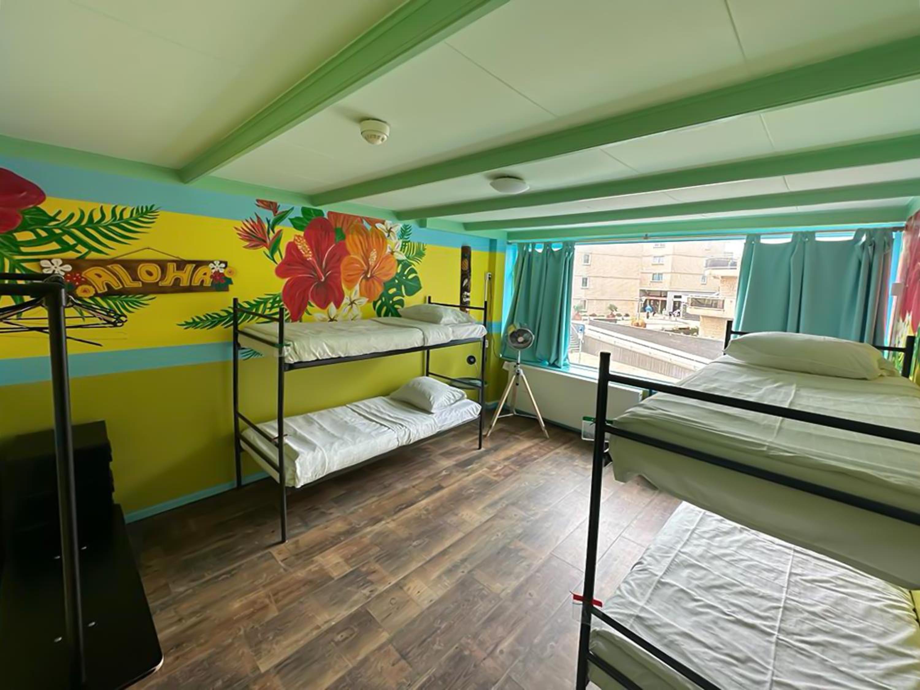 Bed in 4-Bed Mixed Dormitory Room photo 1