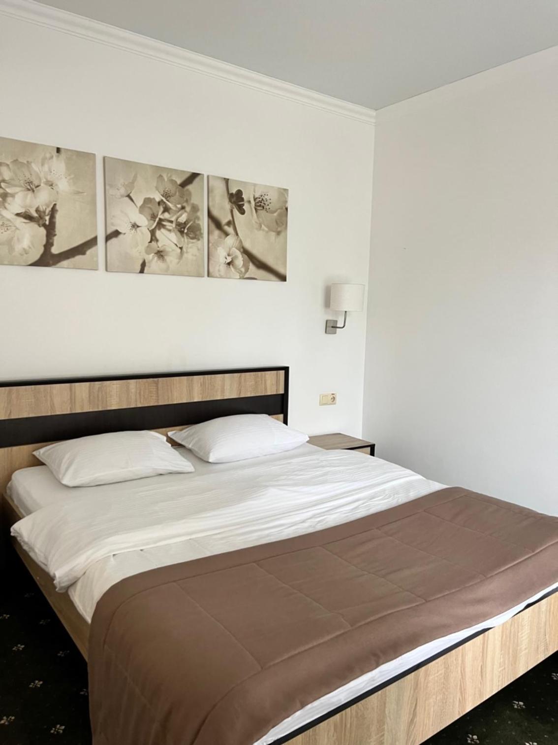 One-Bedroom Suite photo 1