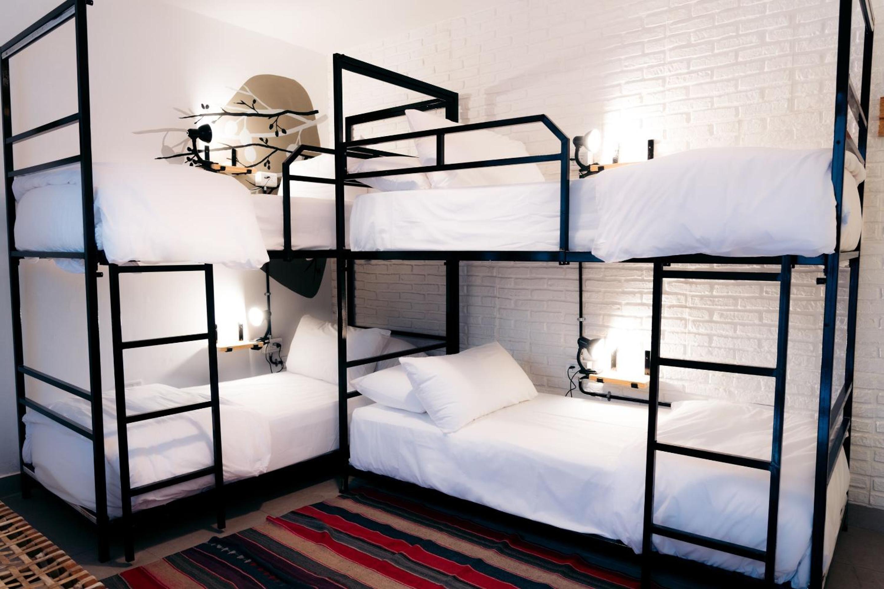 Bed in 4-Bed Female Dormitory Room photo 2