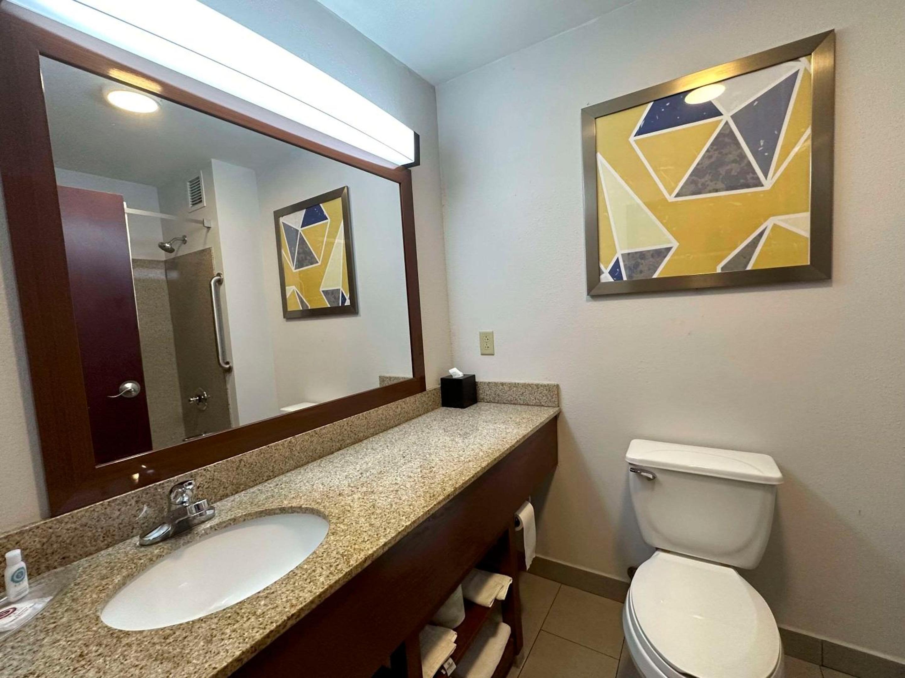 King Suite - Non-Smoking - Photo 4