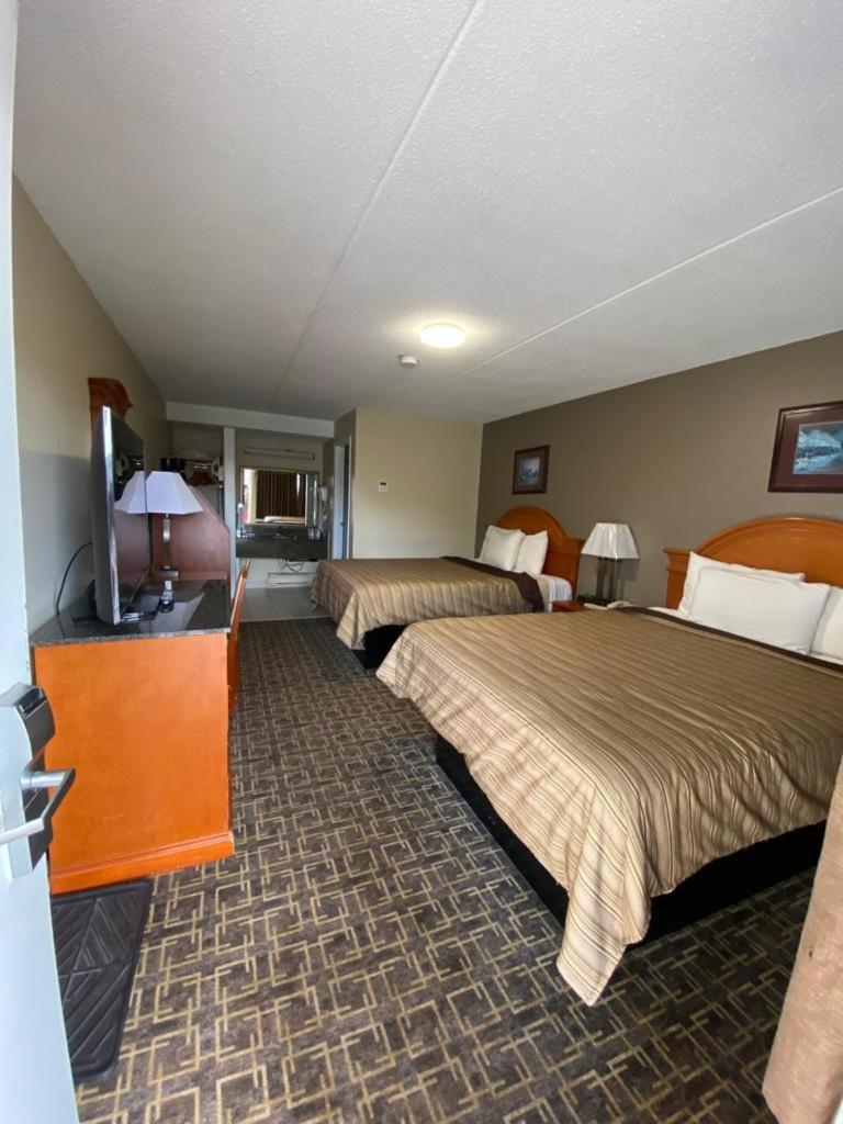 Superior Queen Room