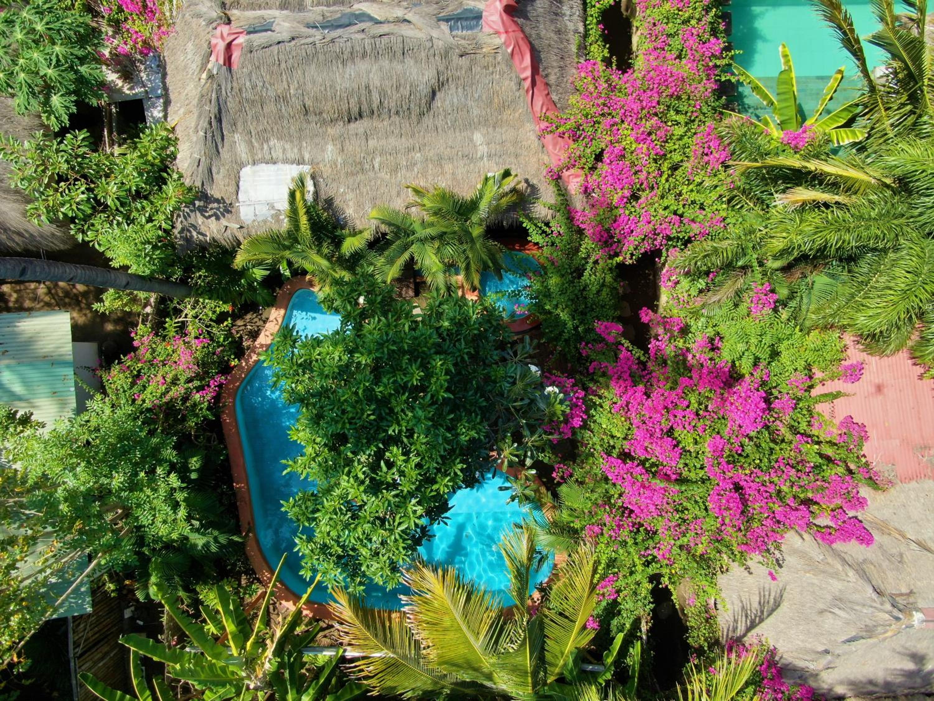Villa Bambu - One-Bedroom with Private Pool - Photo 3