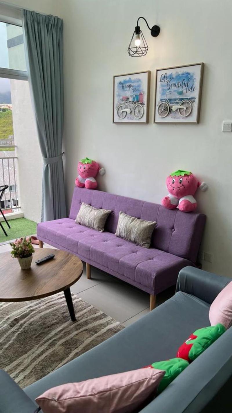Penthouse Apartment photo 1