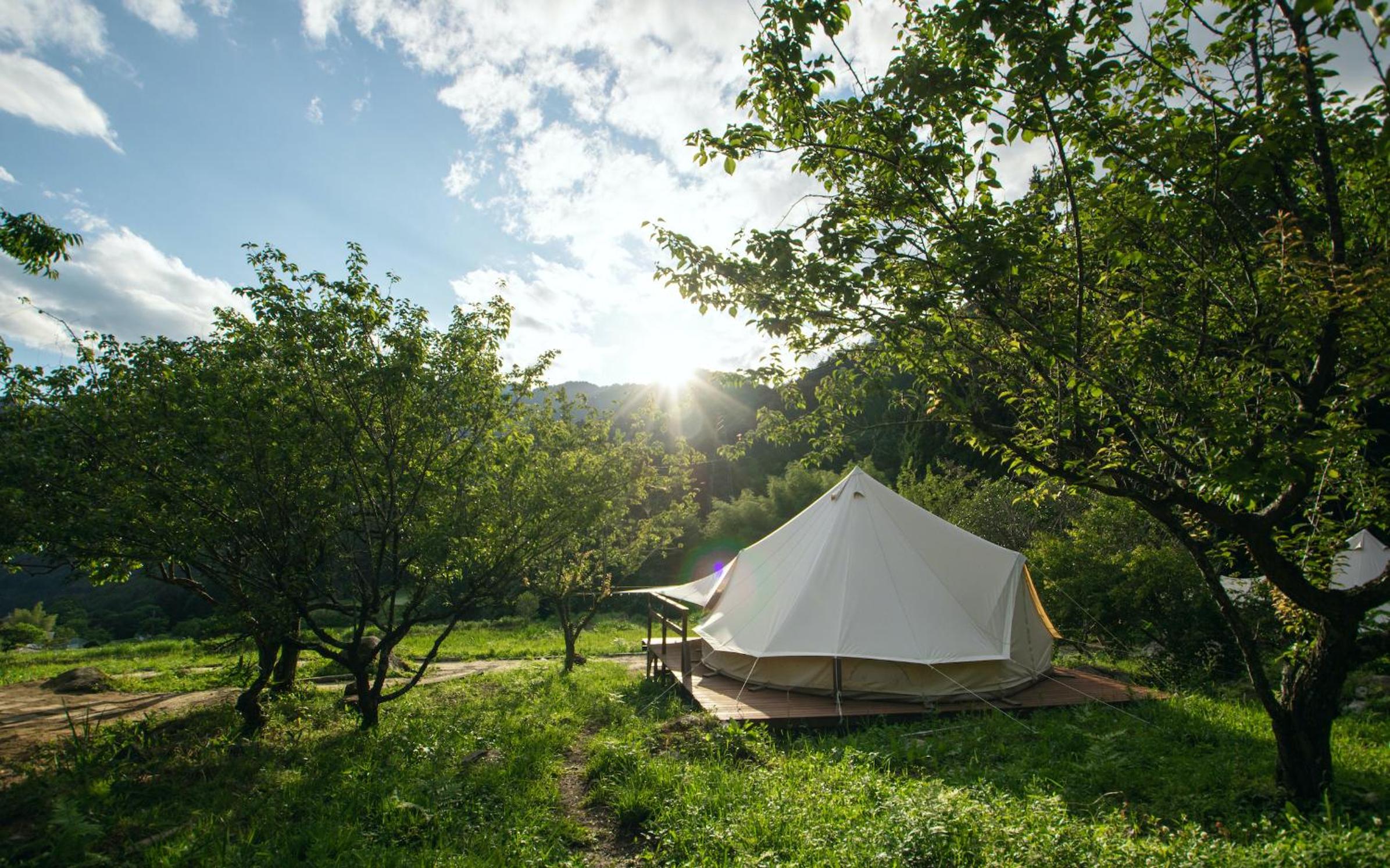 Tent photo 2