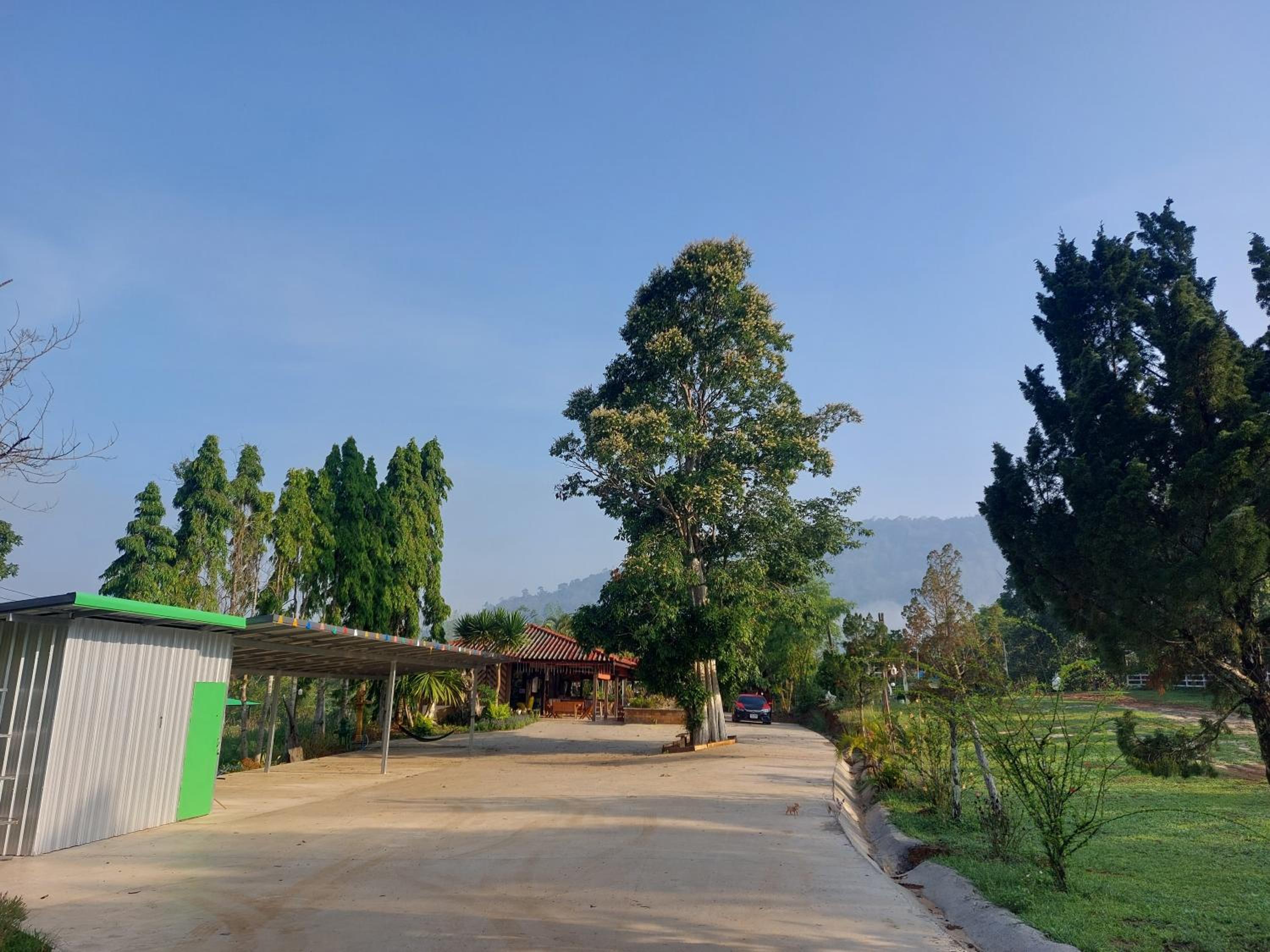 Family Bungalow