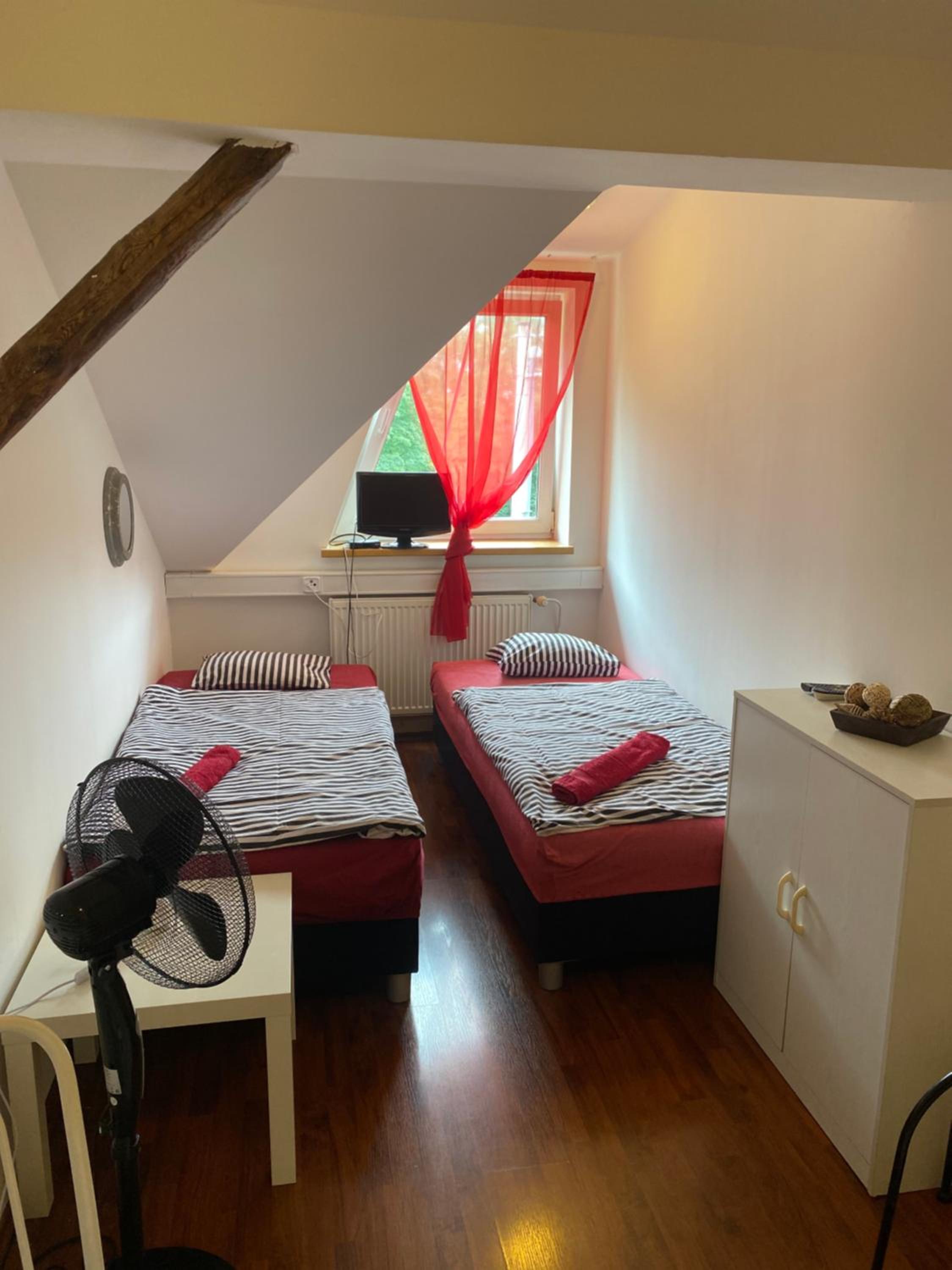 Twin Room photo 2