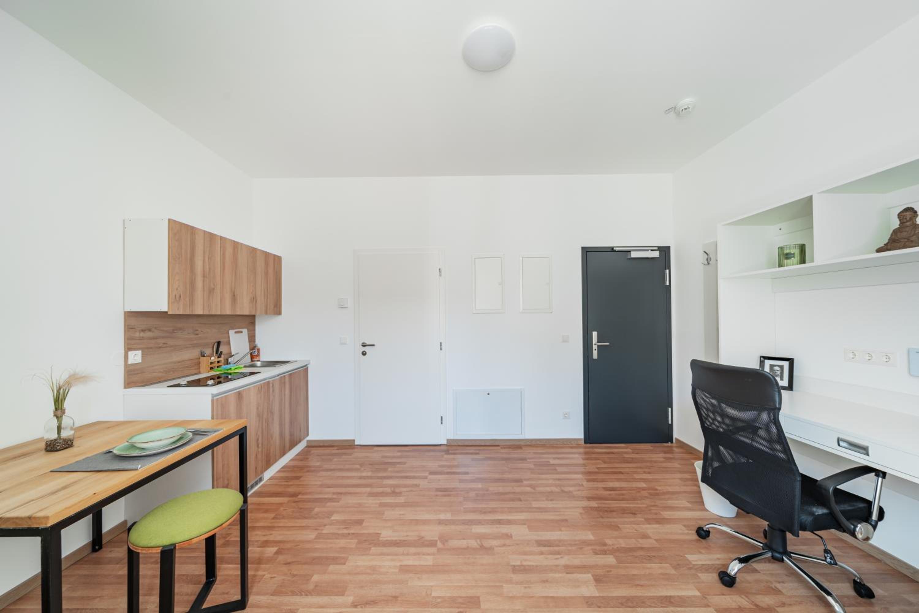 One-Bedroom Apartment photo 3