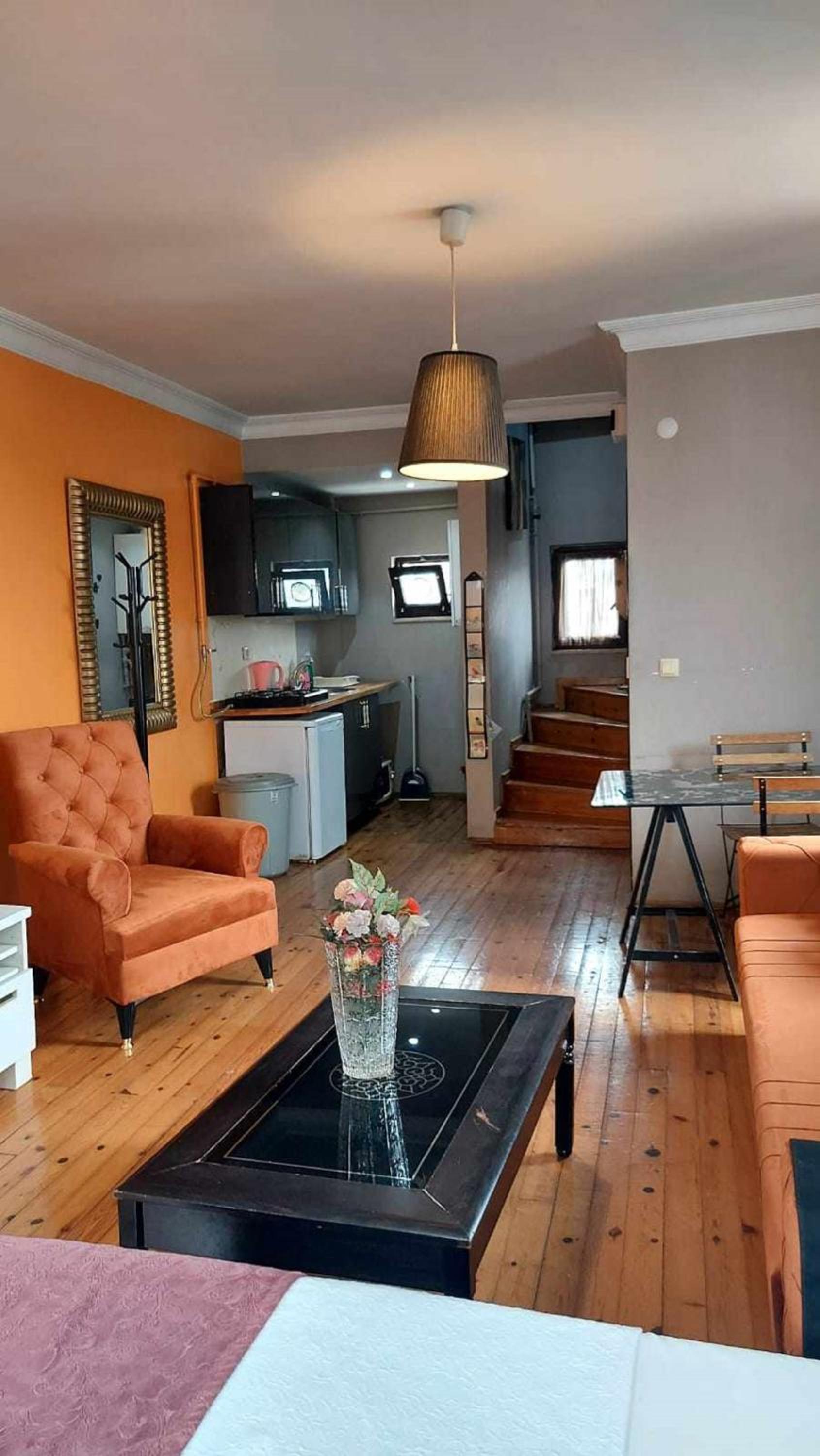 Duplex Apartment photo 2