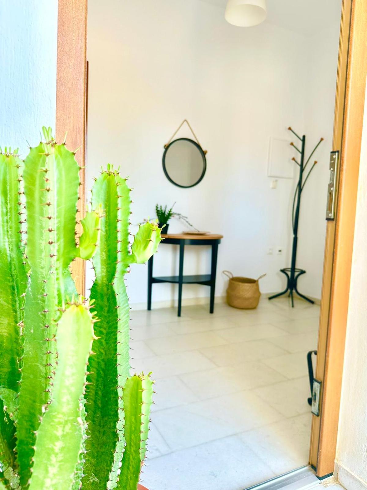 Superior Apartment photo 2