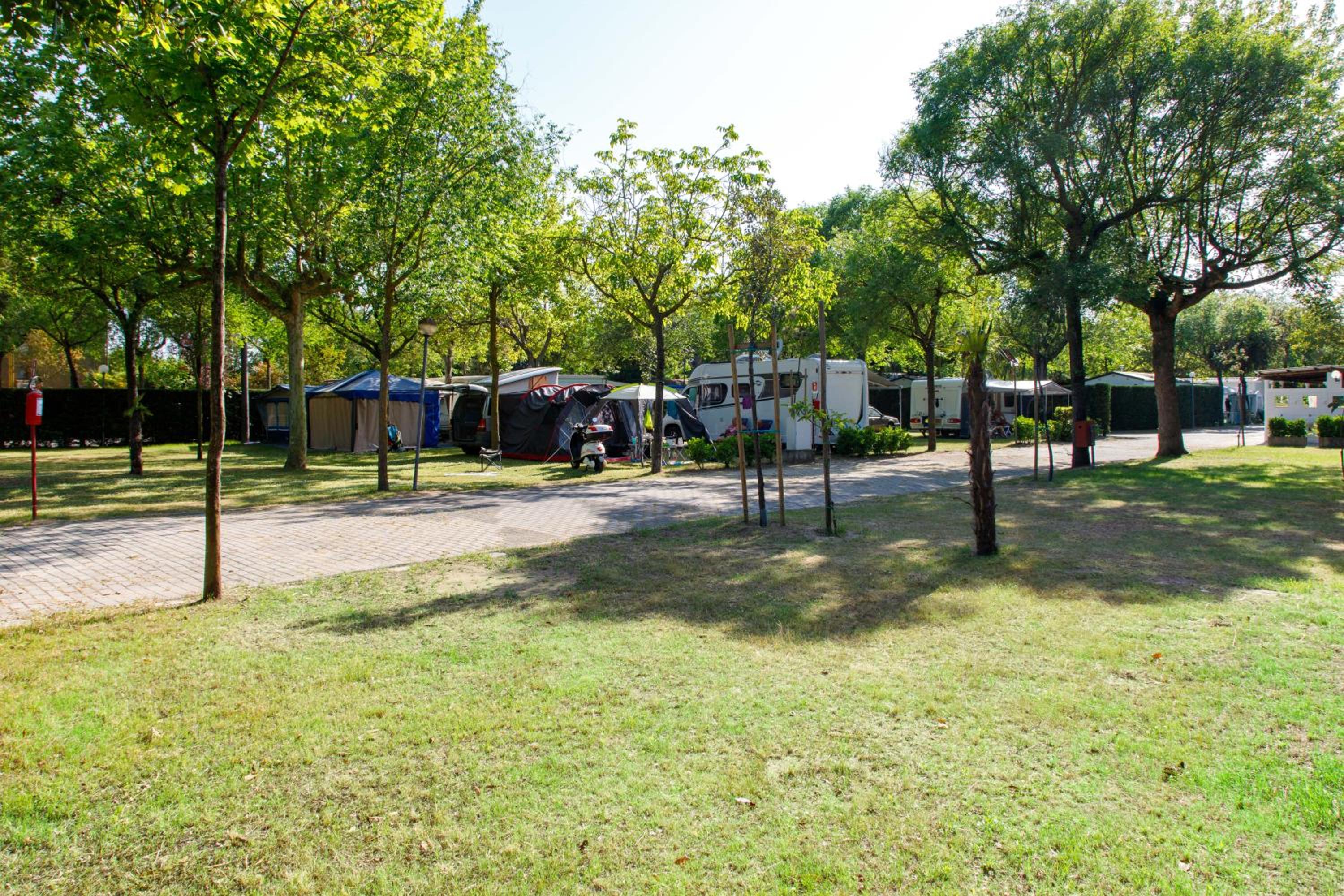 Empty Lot photo 3