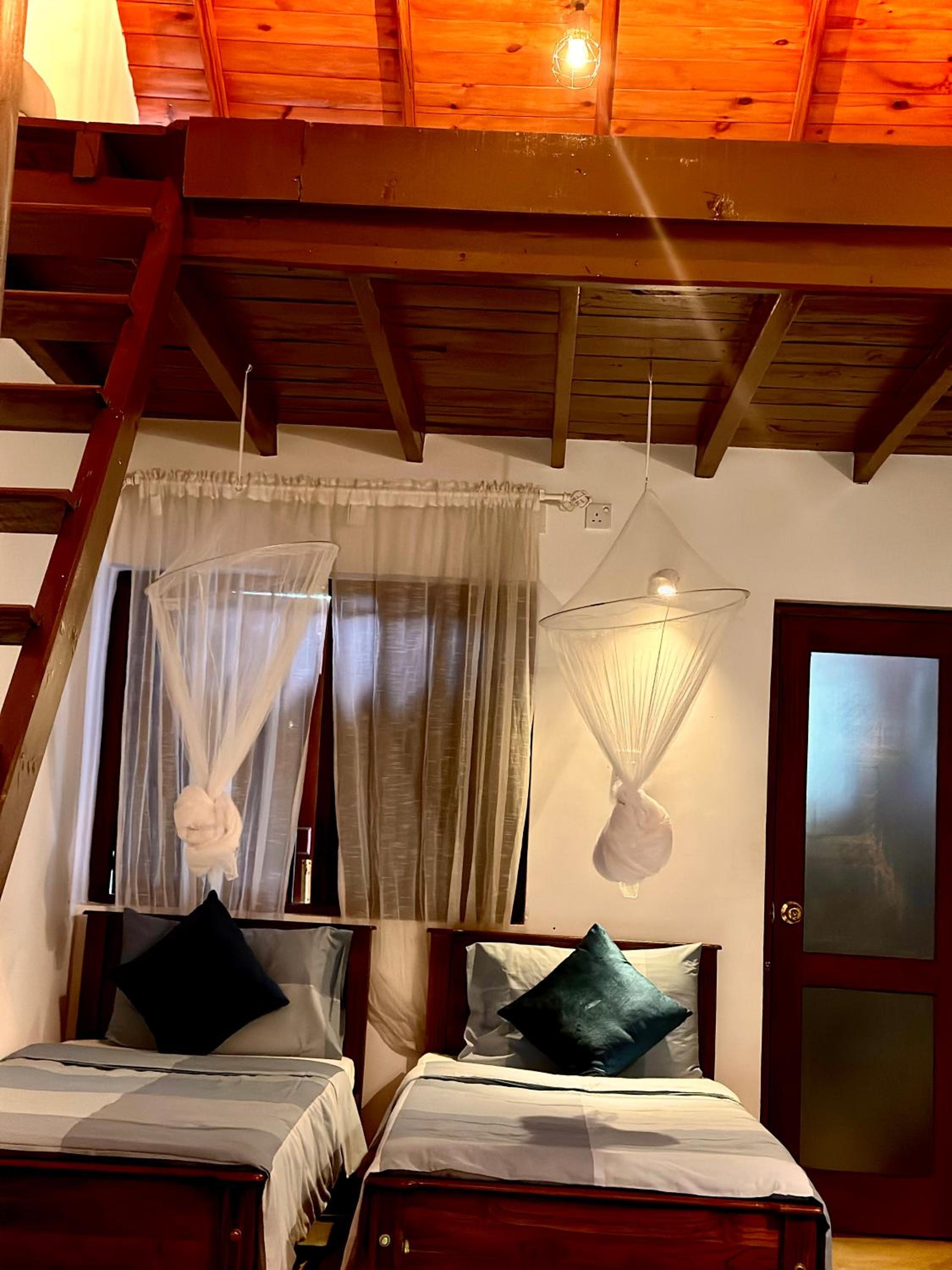 Twin Room photo 1