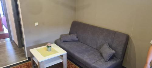 Standard Apartment photo 3