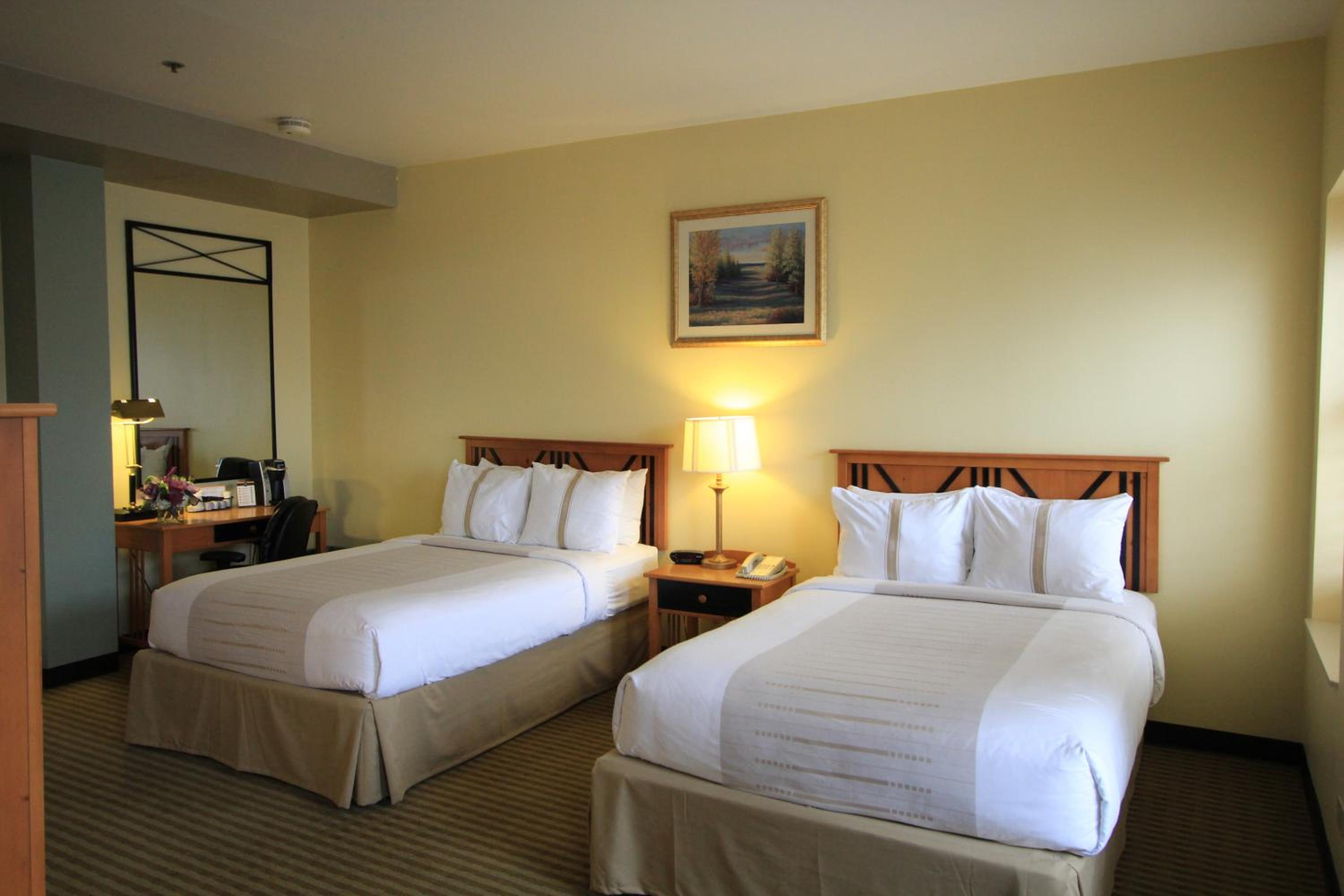 Standard Two Double Bed - Photo 6