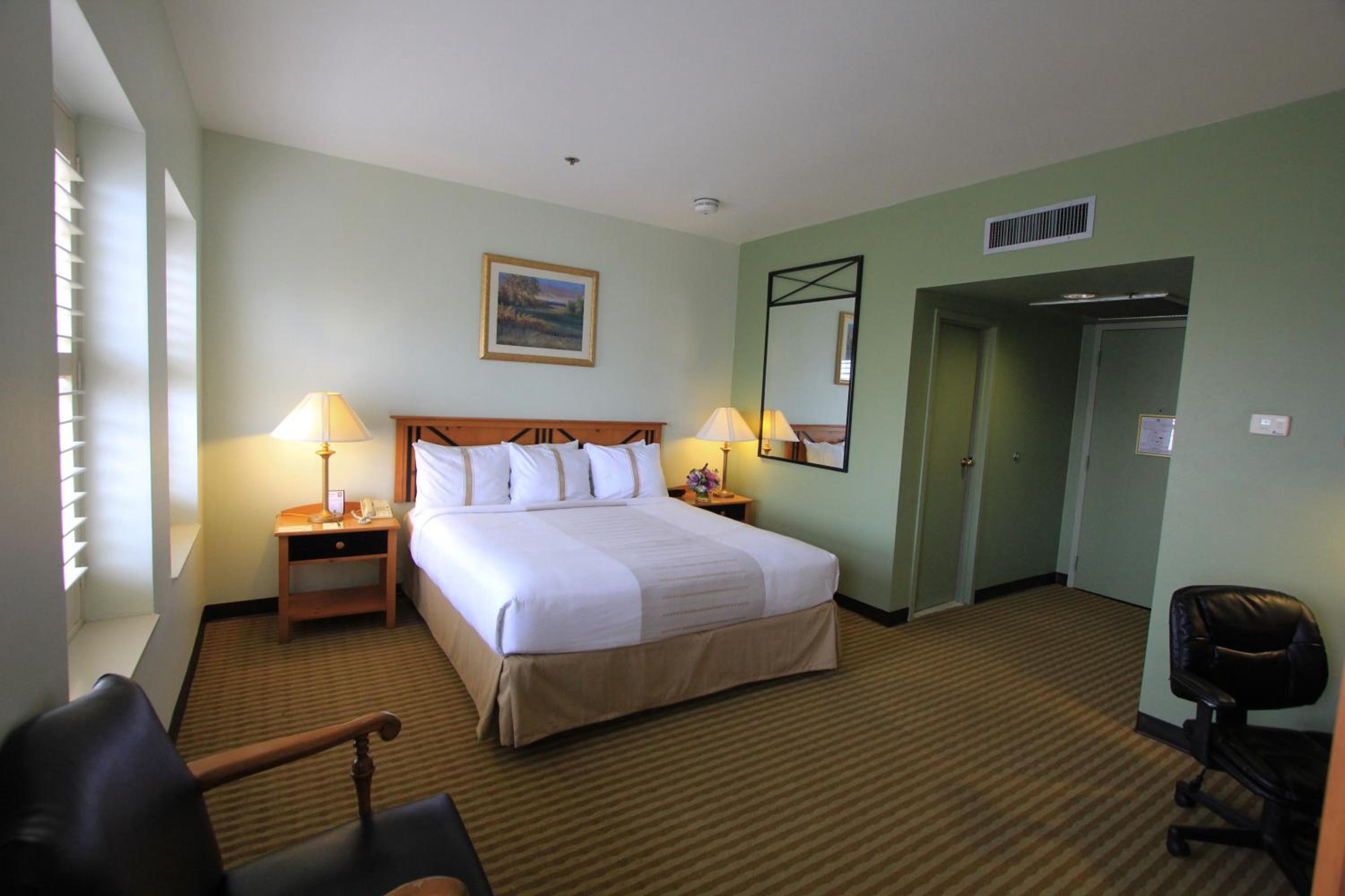 Deluxe King Room - Photo 10