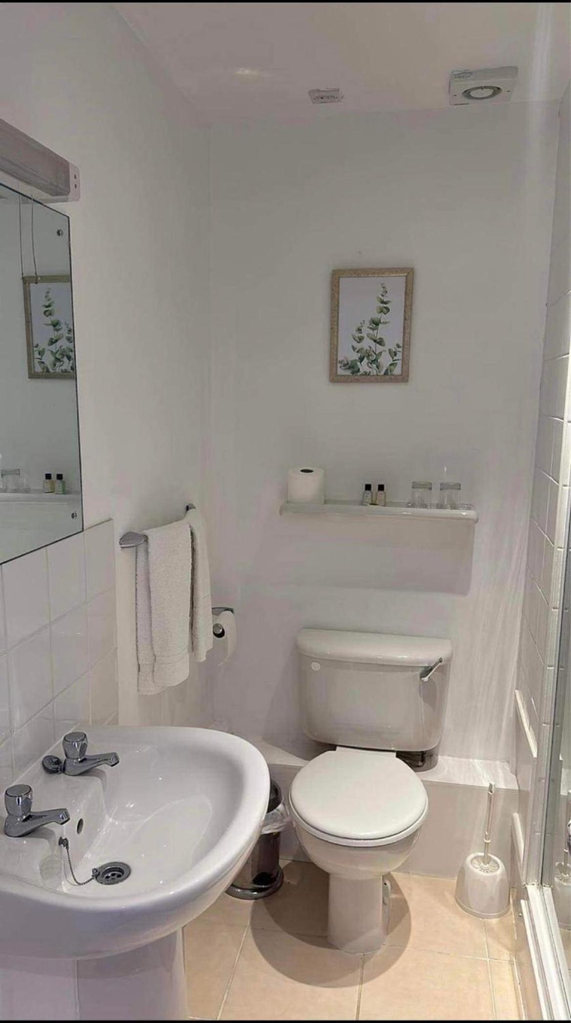King Room photo 3
