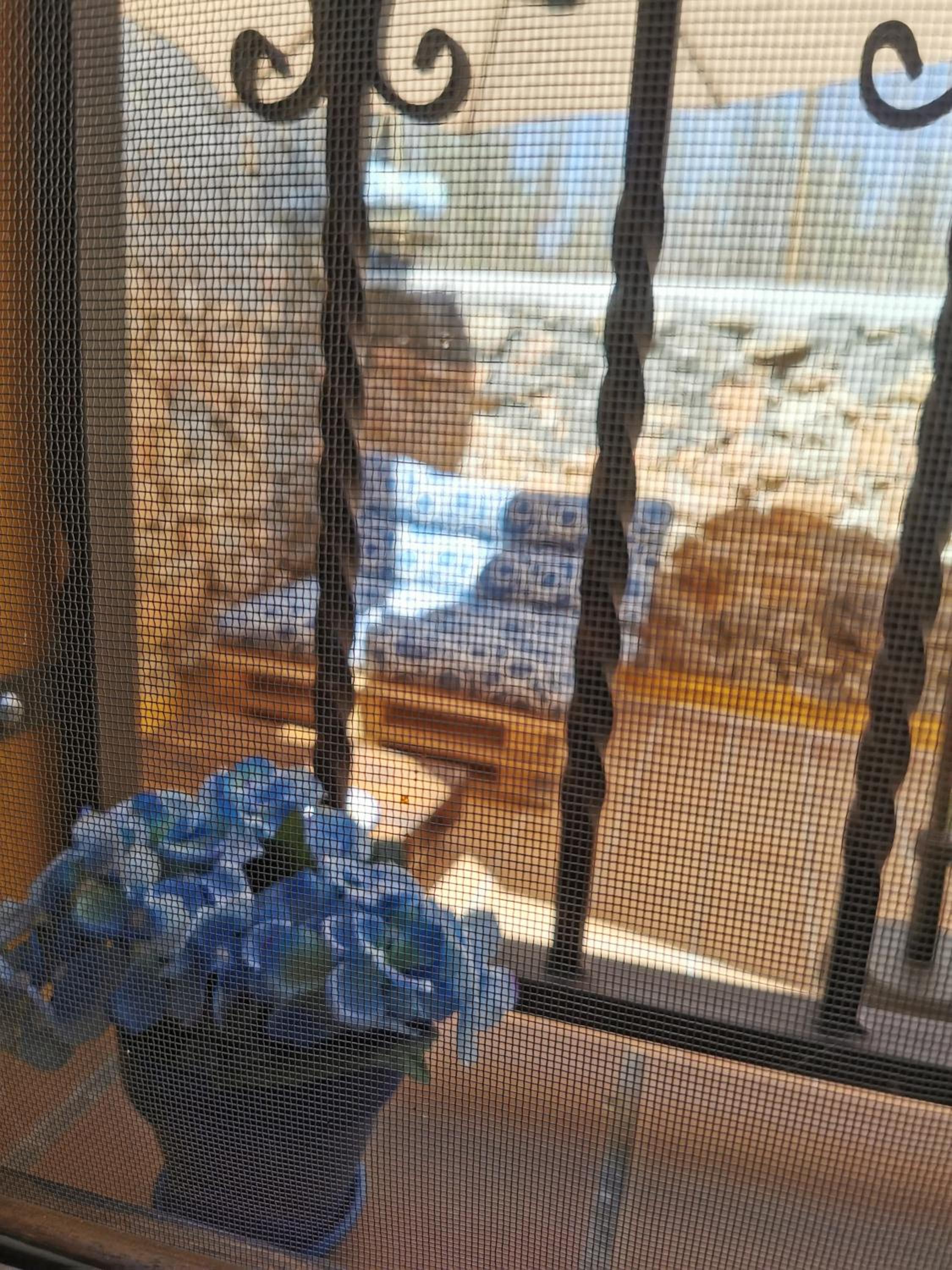 One-Bedroom Chalet photo 2