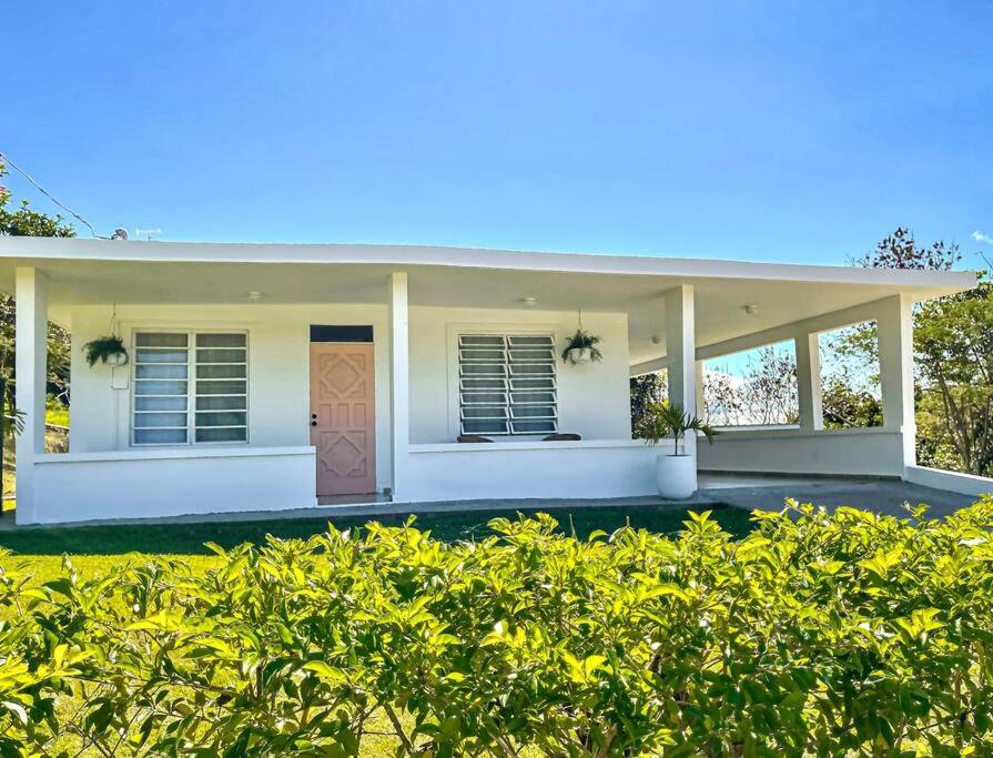 Three-Bedroom House photo 2