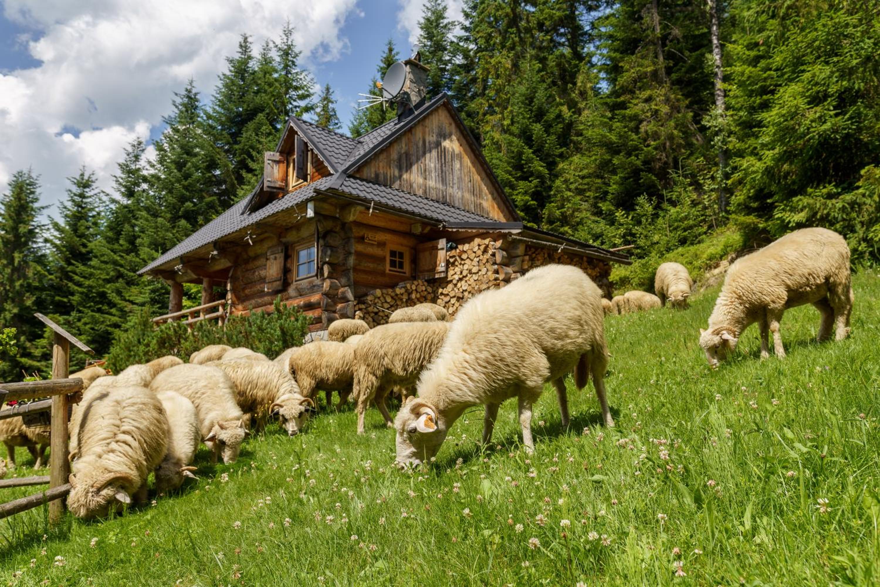 Two-Bedroom Chalet - Photo 50