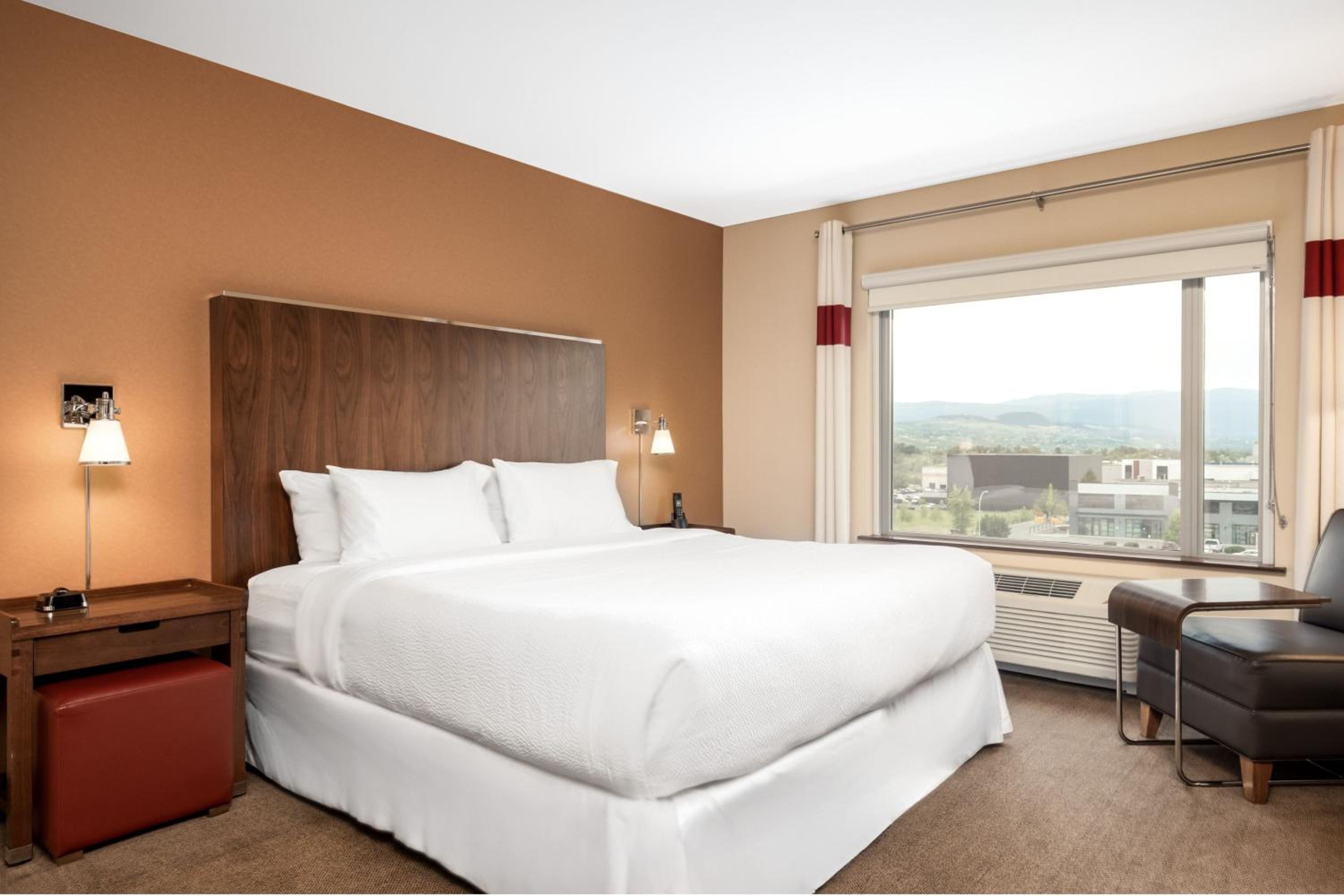 1 Bedroom Deluxe Suite, 1 King, Sofa bed photo 3