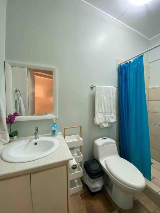 One-Bedroom Villa photo 3