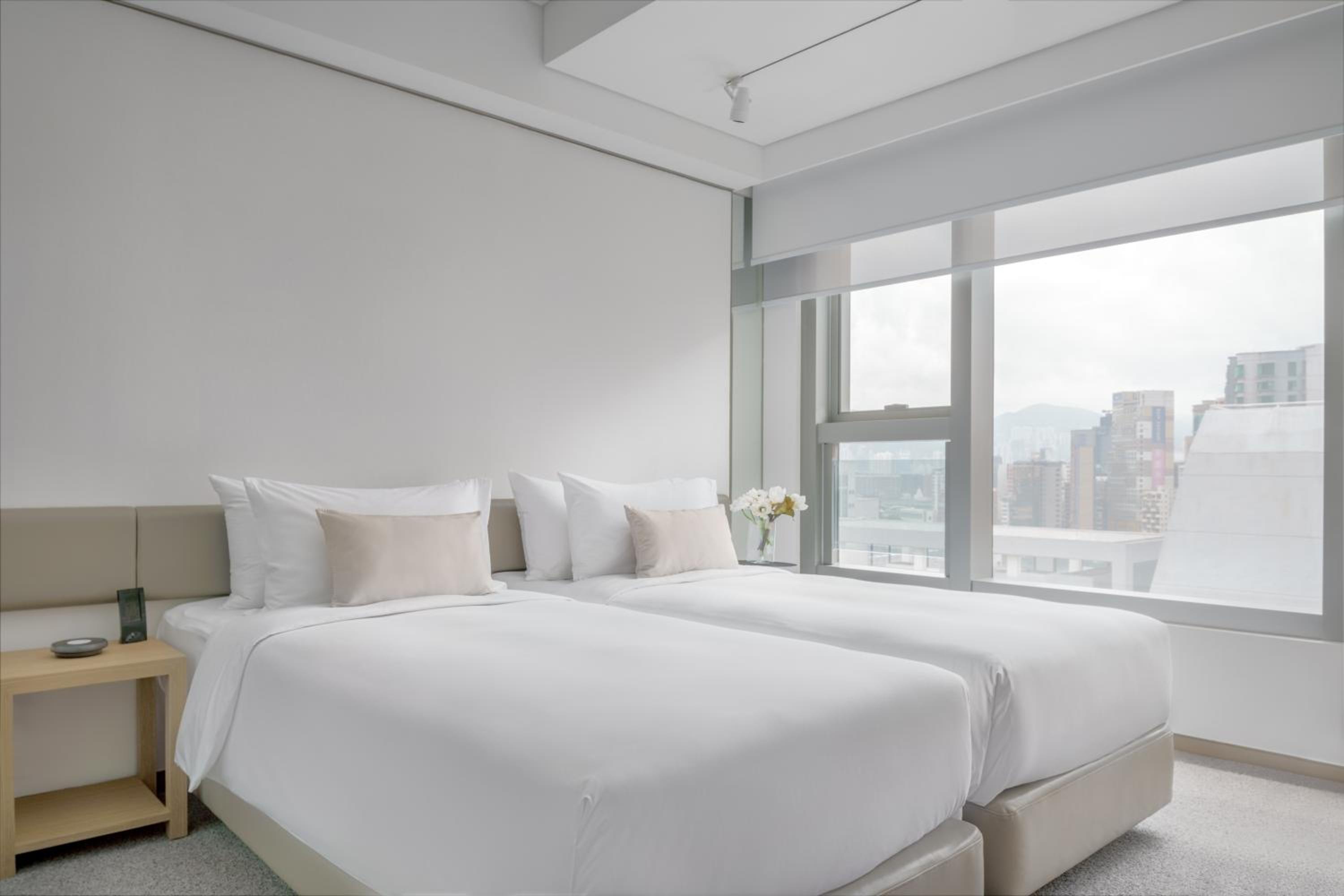 Deluxe Twin Room photo 3