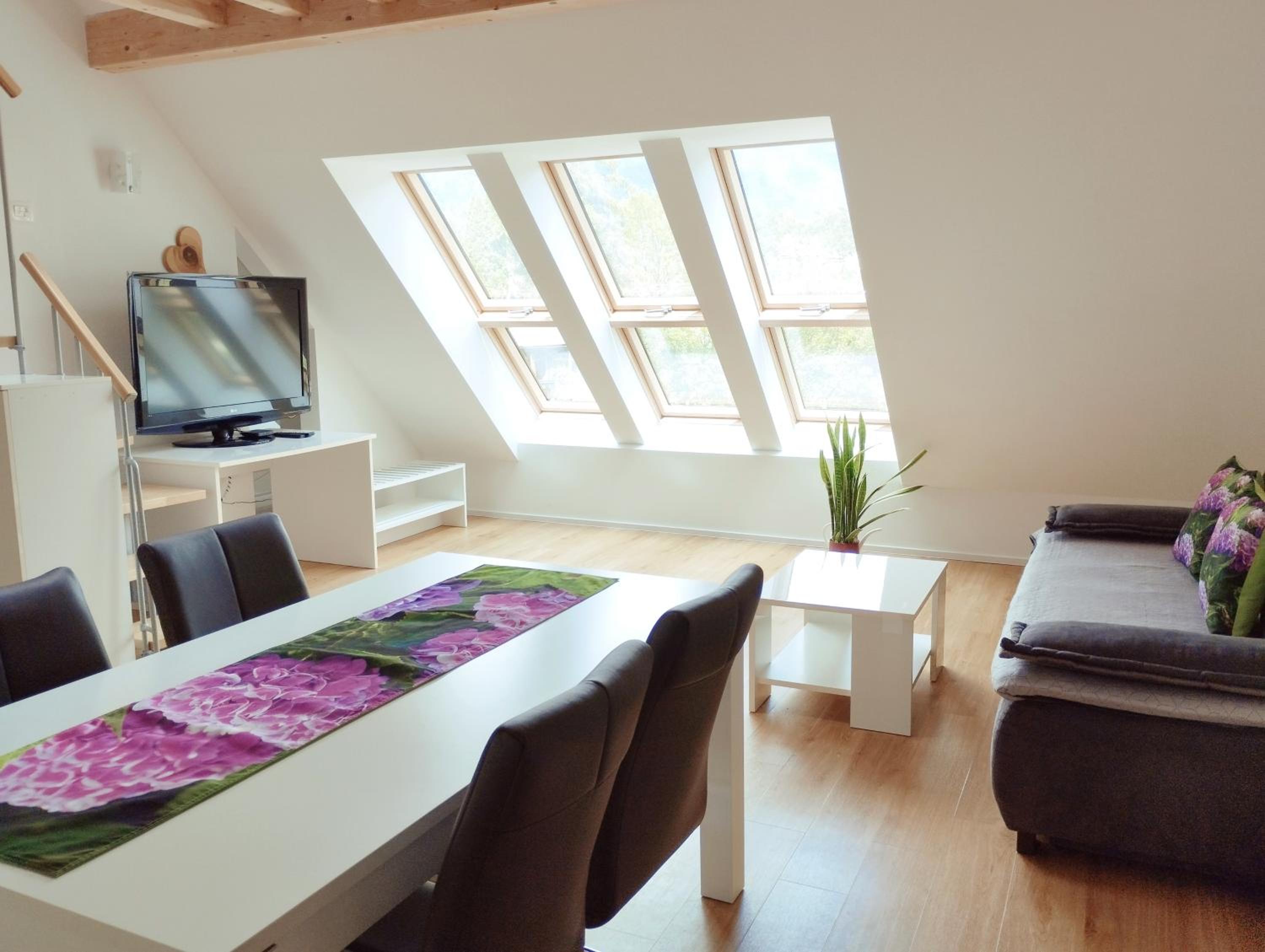 Apartment with Mountain View