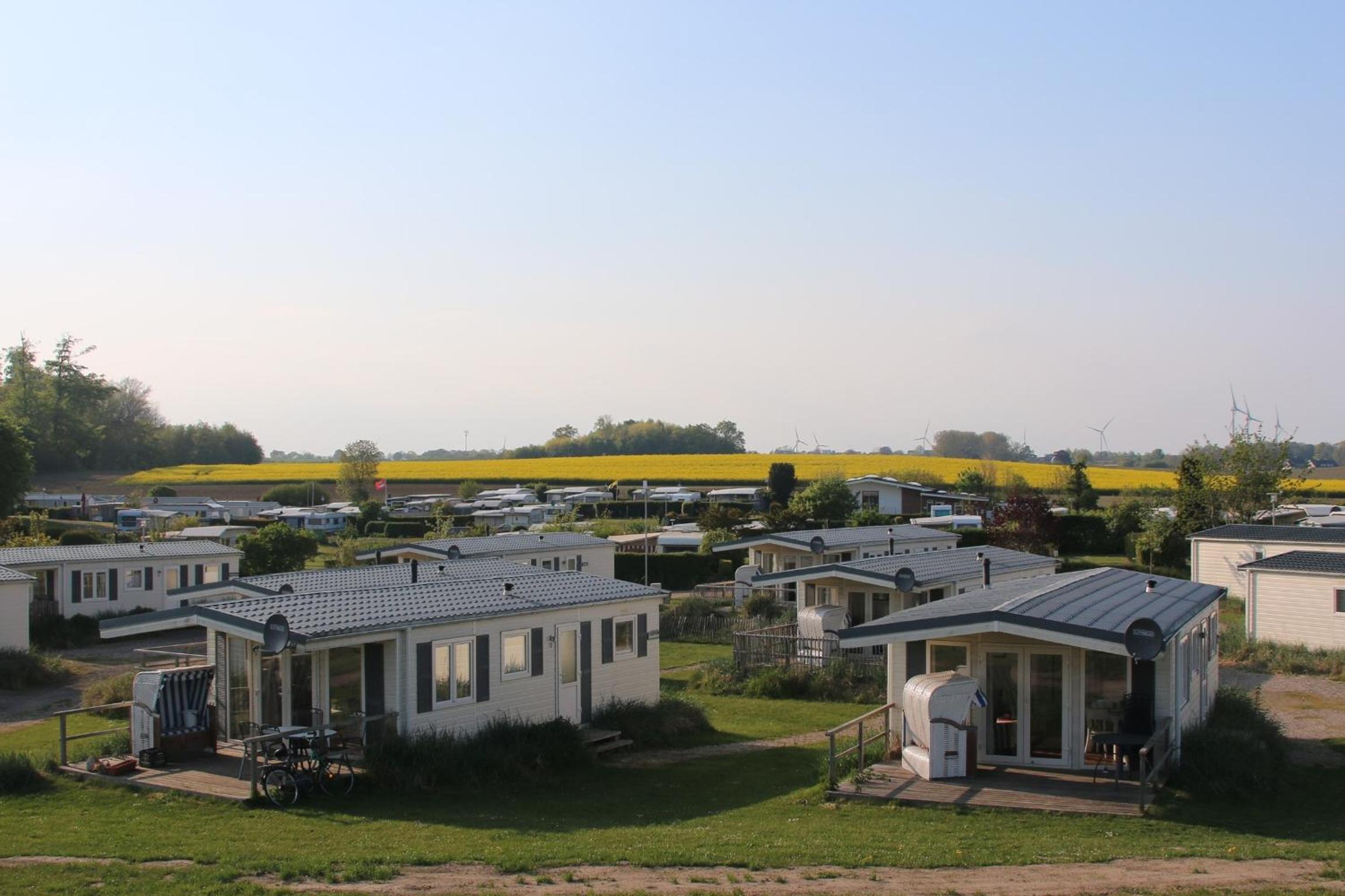 Mobile Home photo 2