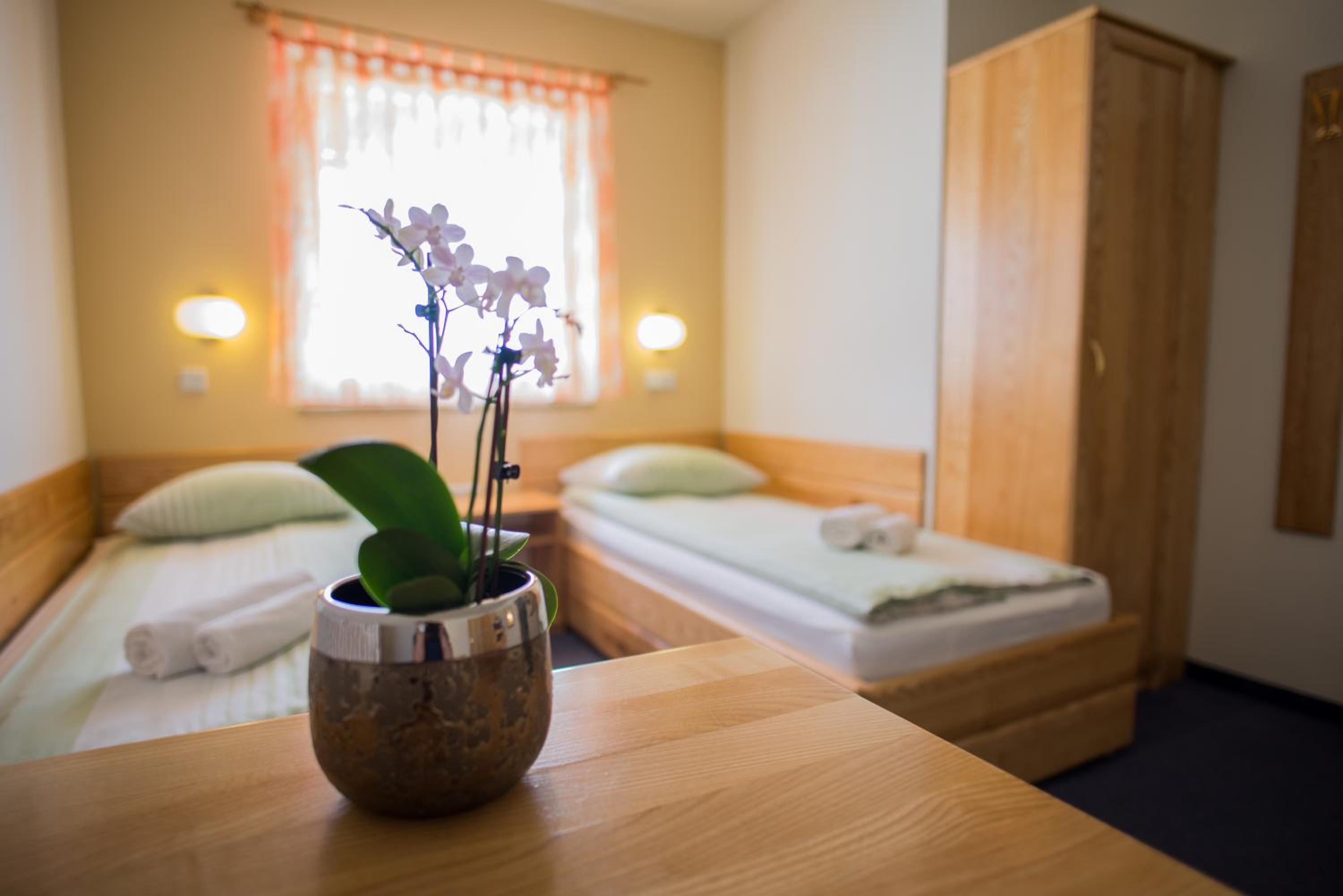 Large Twin Room - Photo 1