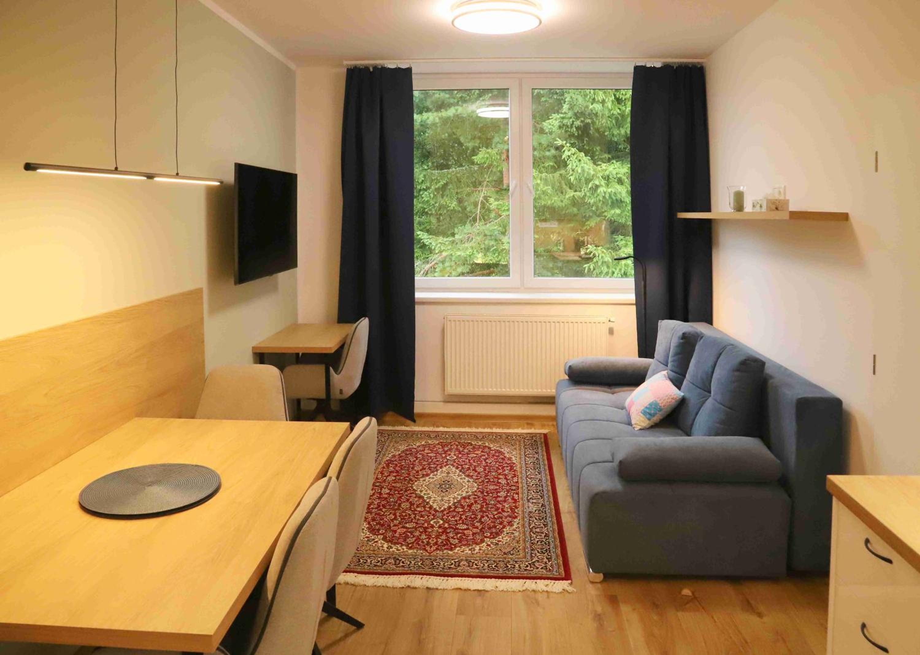 One-Bedroom Apartment photo 1
