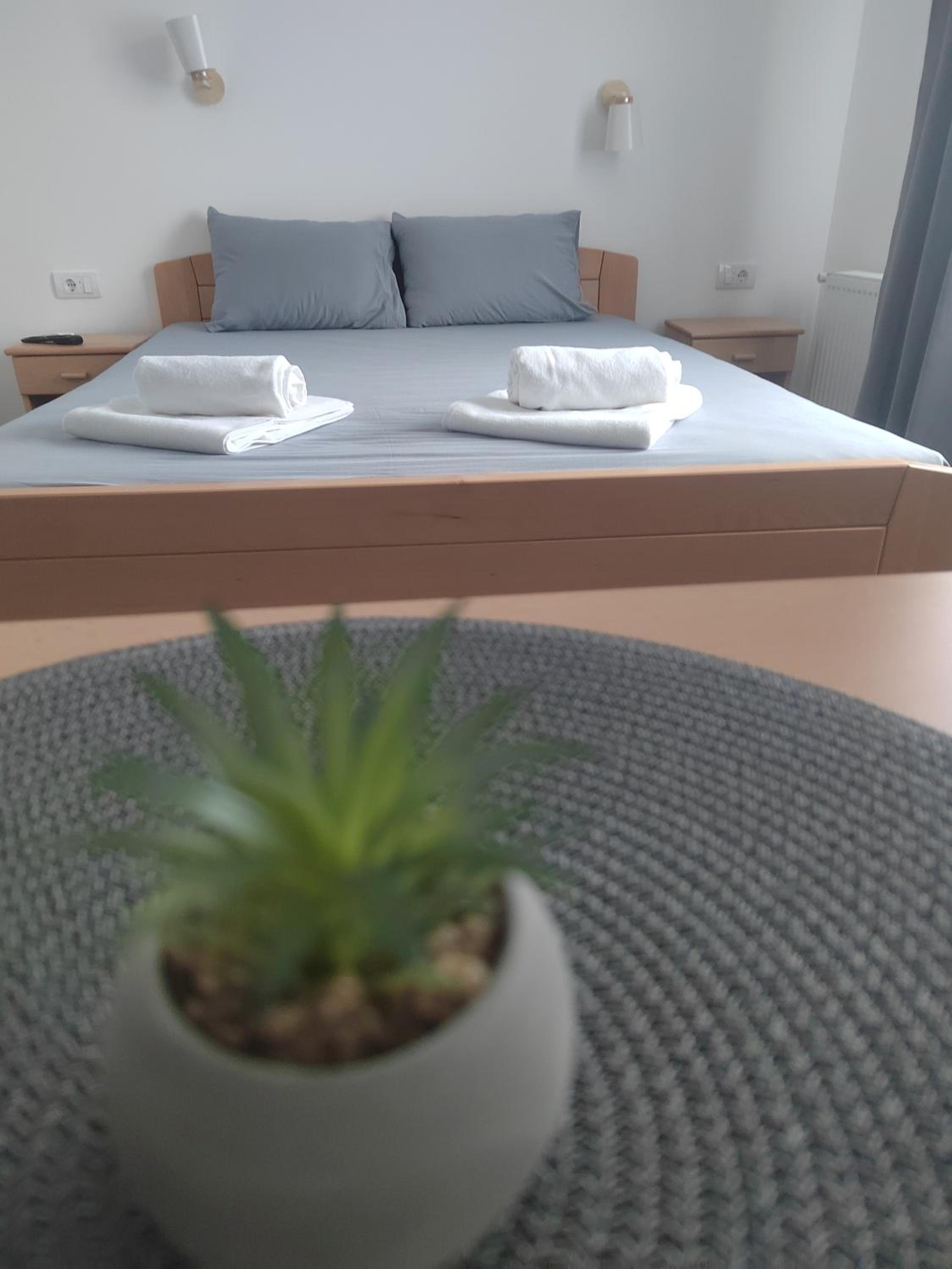 Deluxe Double Room photo 1