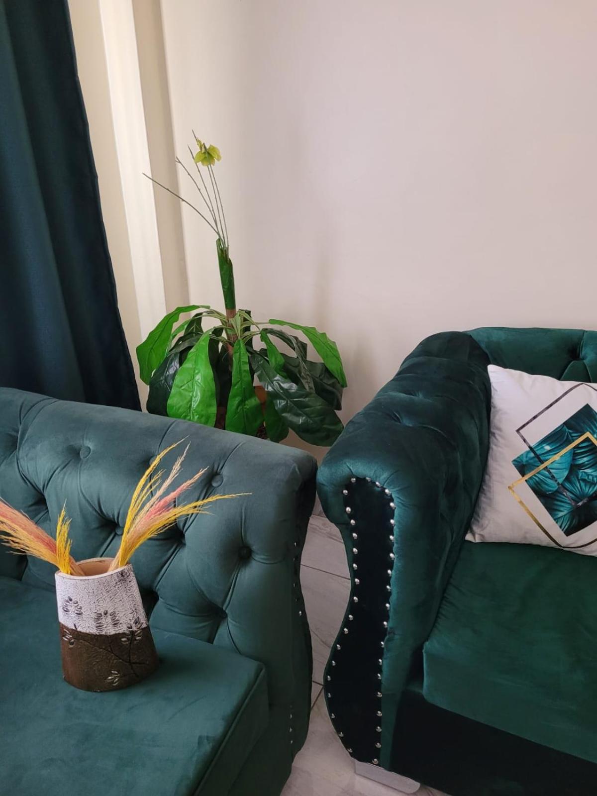 One-Bedroom Apartment - Photo 4