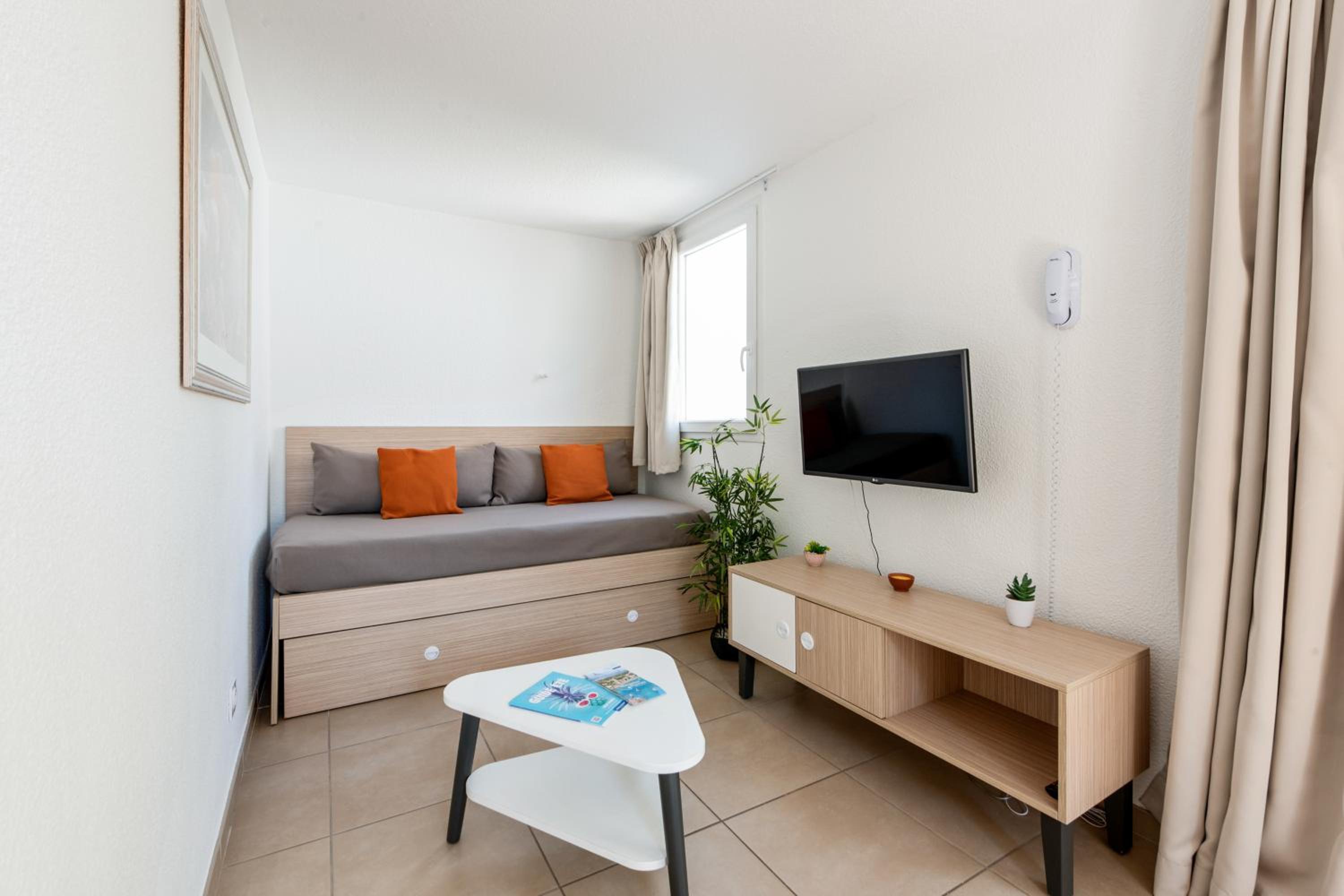 Standard One-Bedroom Apartment photo 2