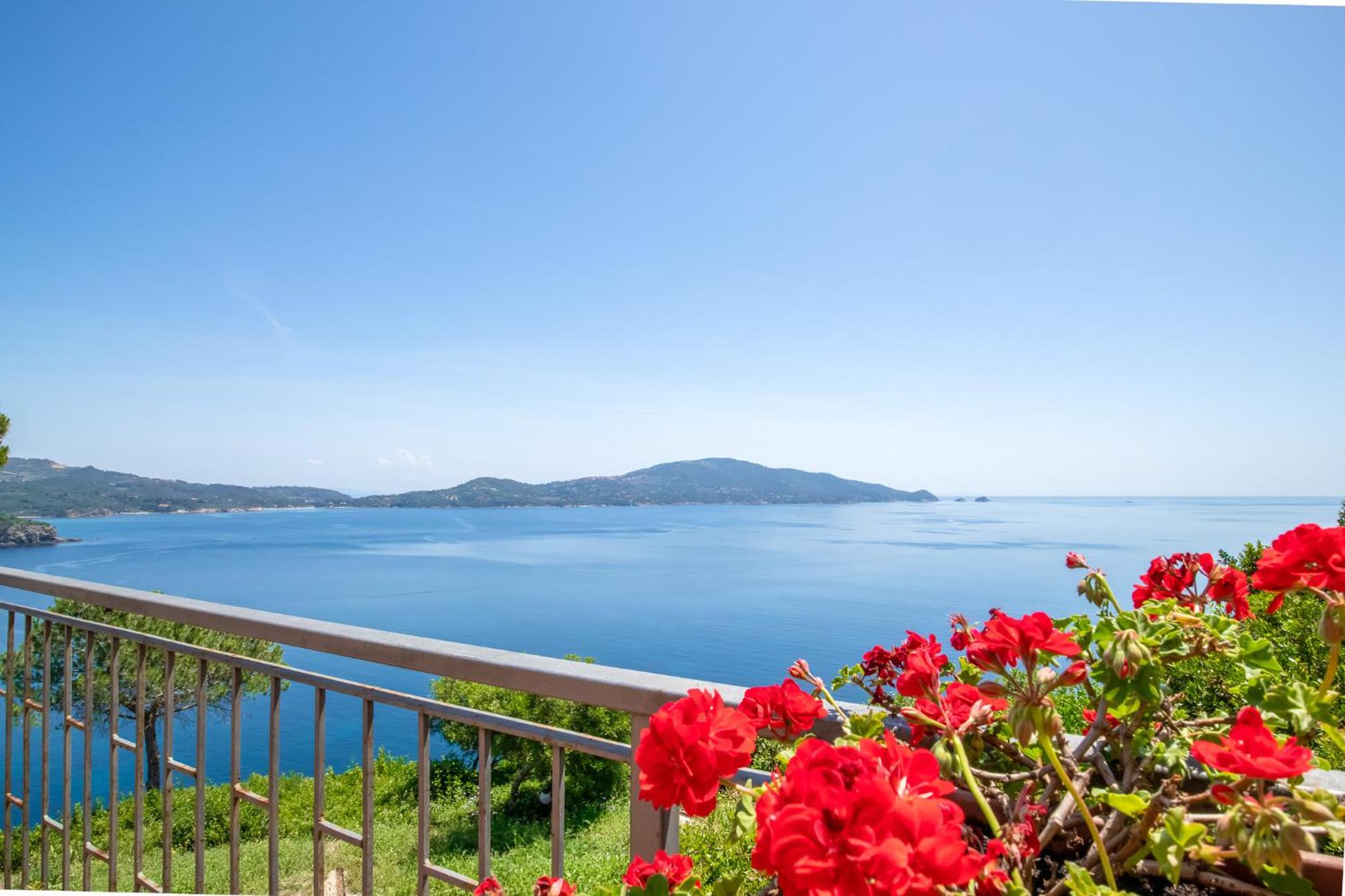 Villa with Sea View photo 3
