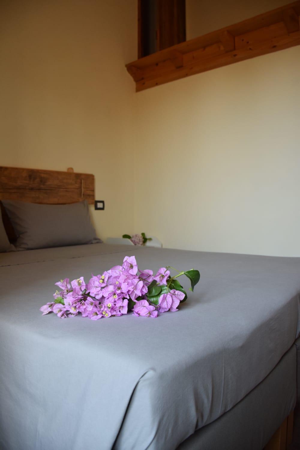 Double or Twin Room photo 1