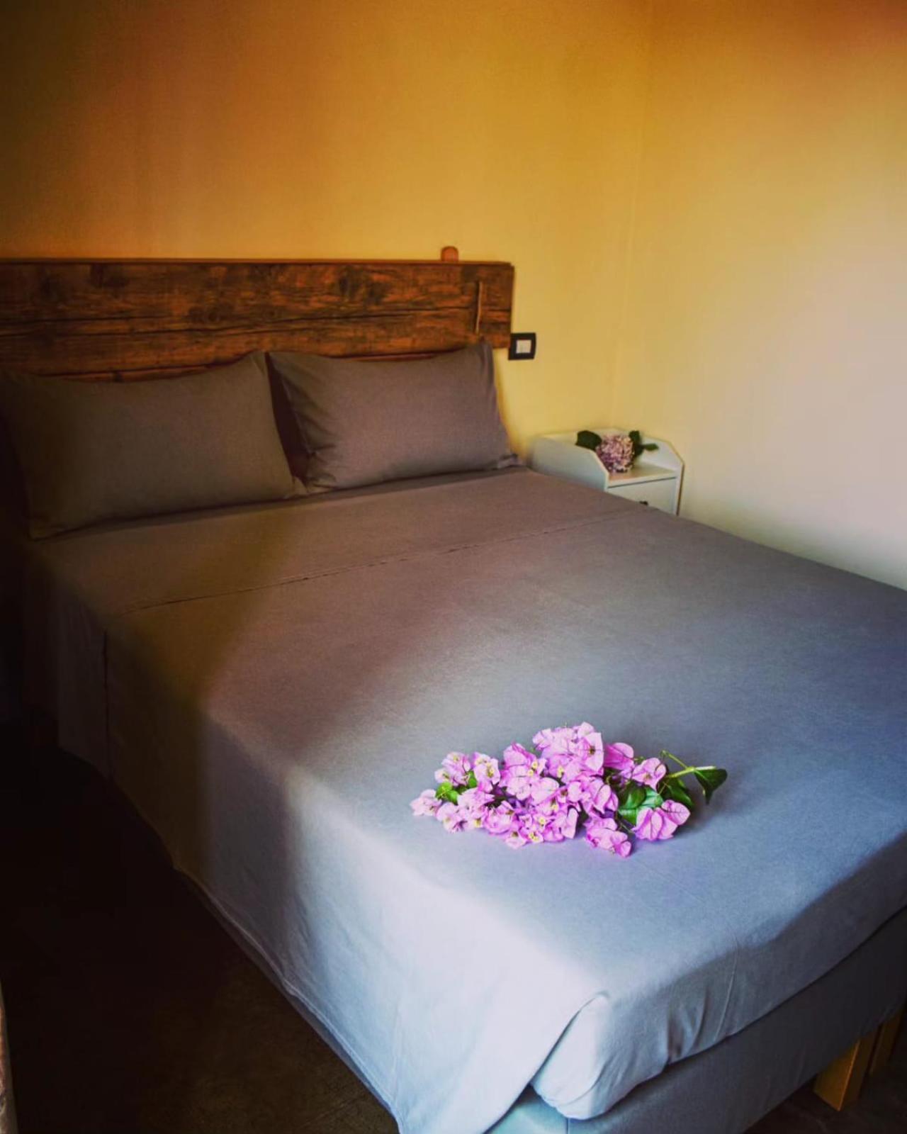 Double or Twin Room photo 2