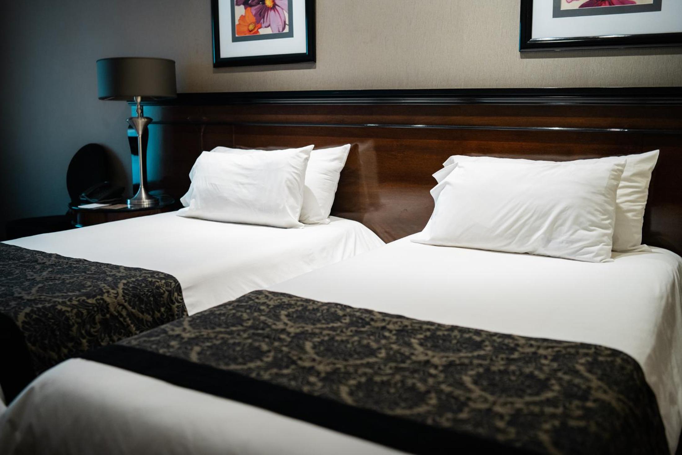 Deluxe Twin Room photo 1