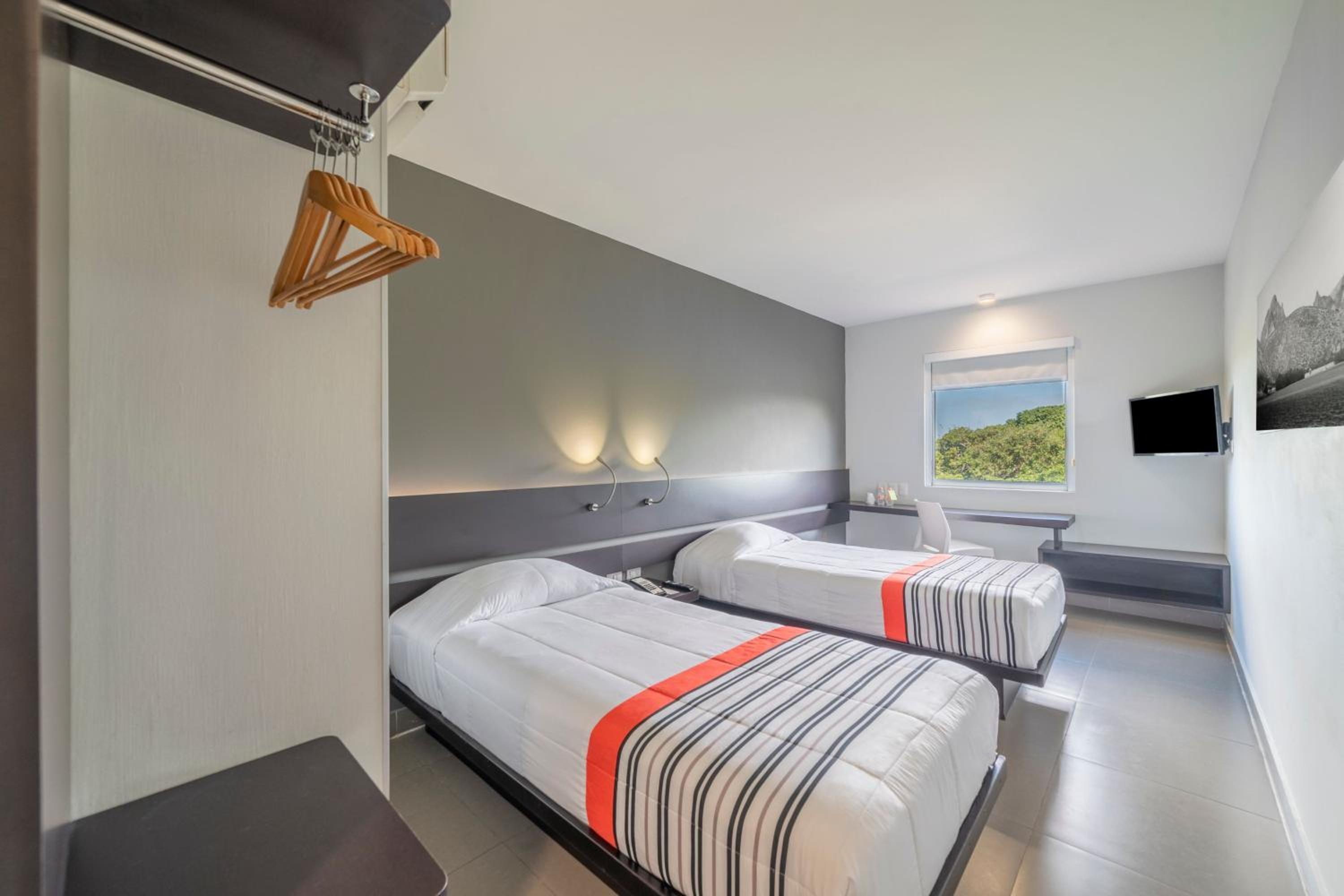 Twin Room photo 1