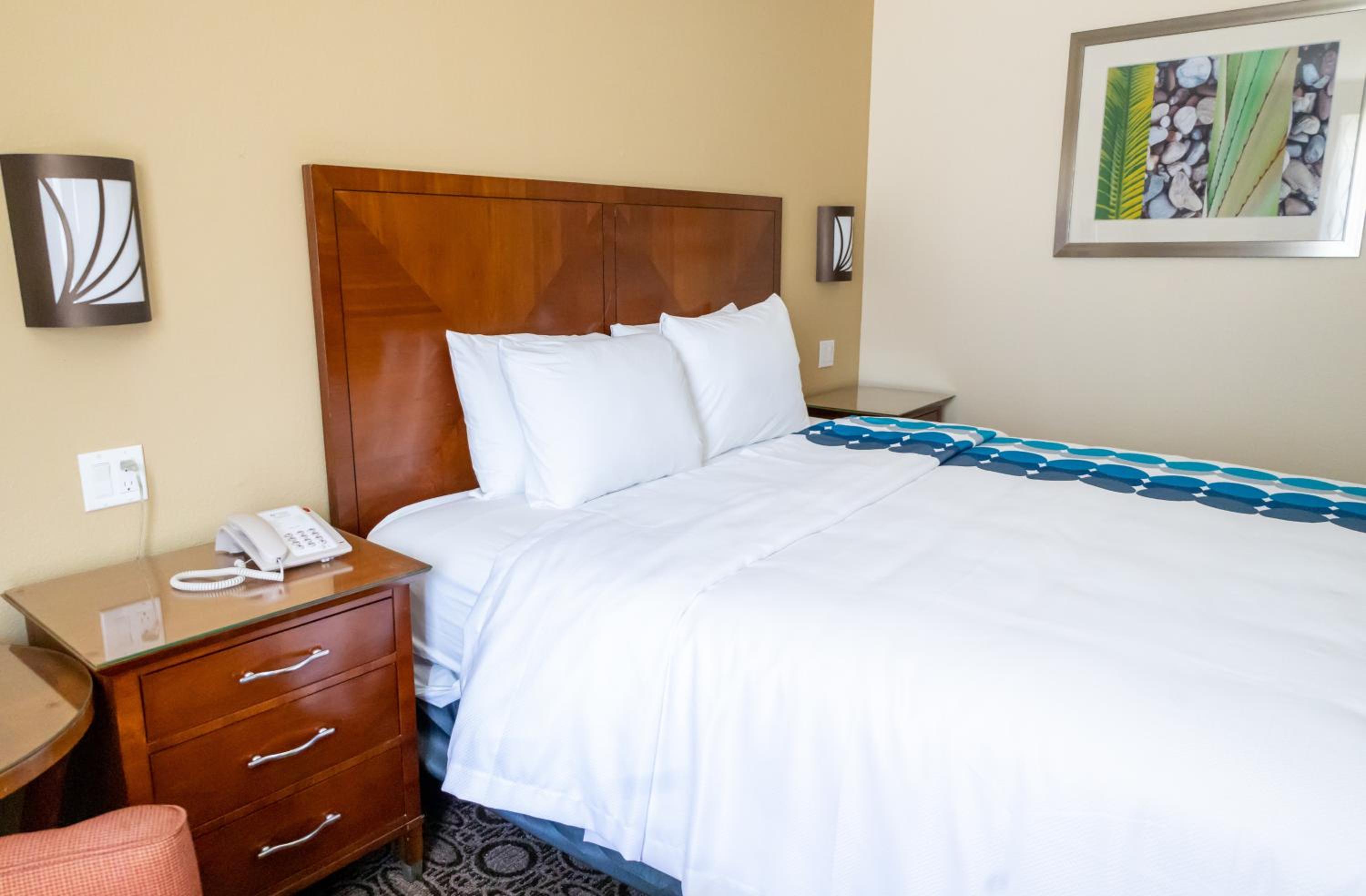 King Room with Mobility Access and Bathtub with Grab Bars, Non-Smoking - Photo 1