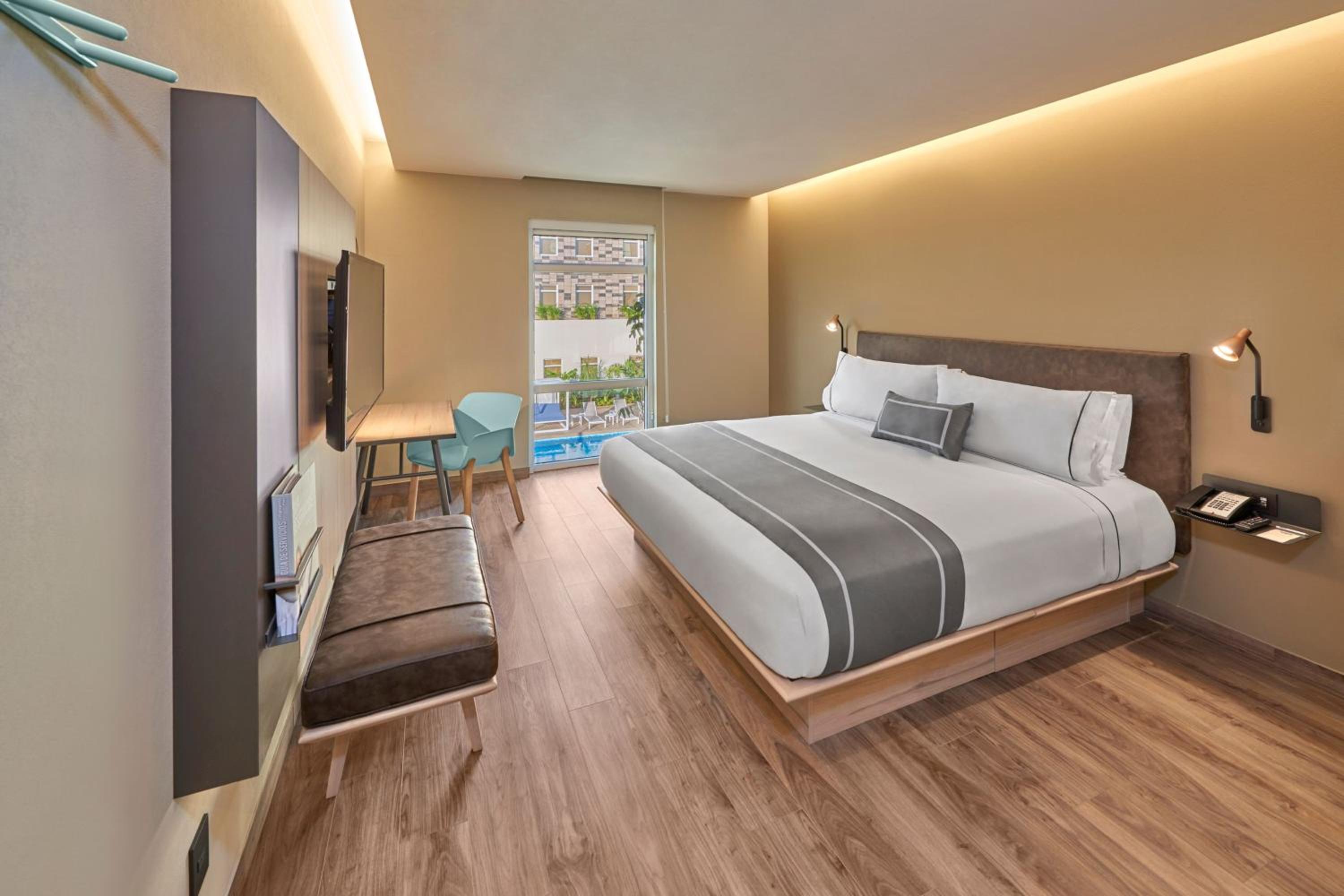 King Room photo 2