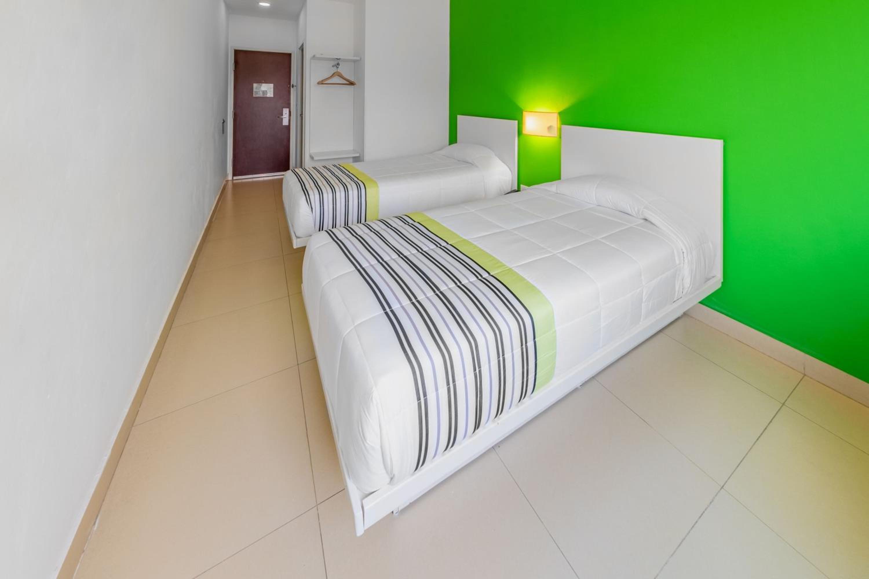 Twin Room photo 3