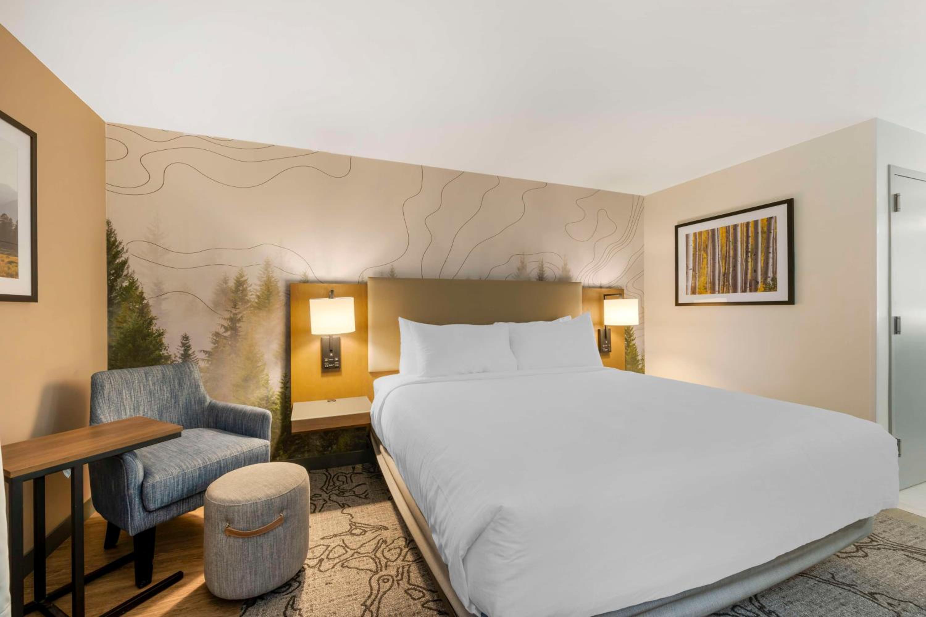 King Room photo 1