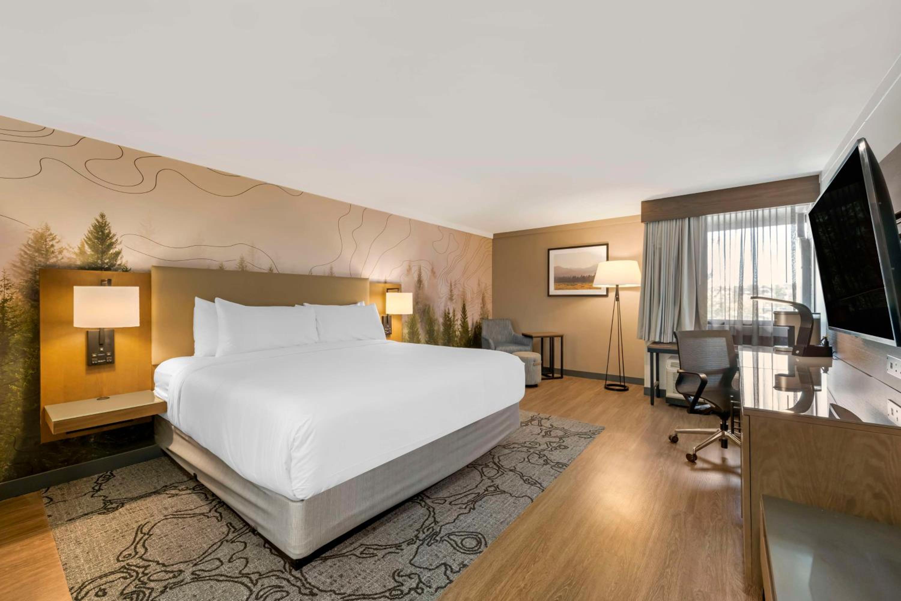 King Room photo 3