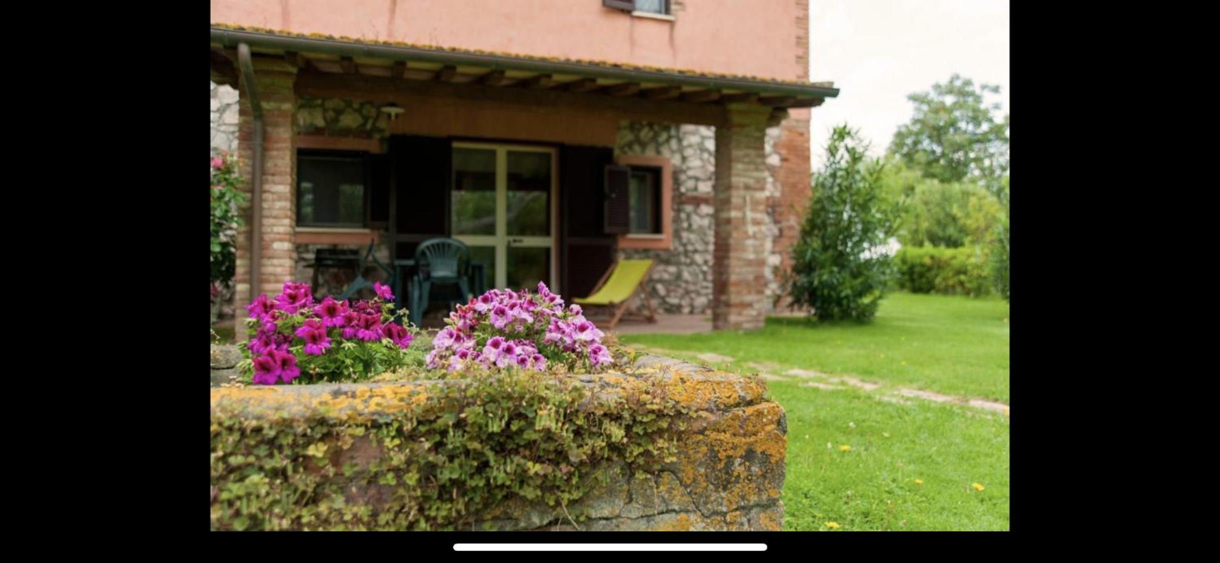 Apartment With Garden View photo 3