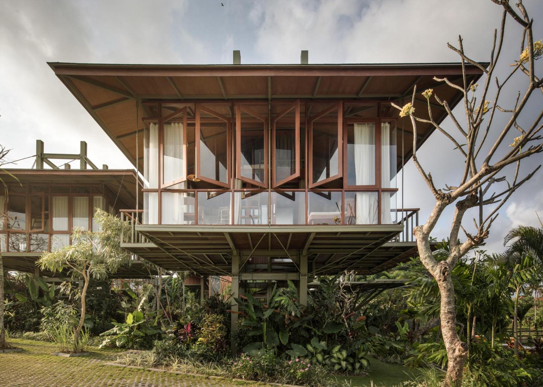 Treehouse Ficus - Photo 2
