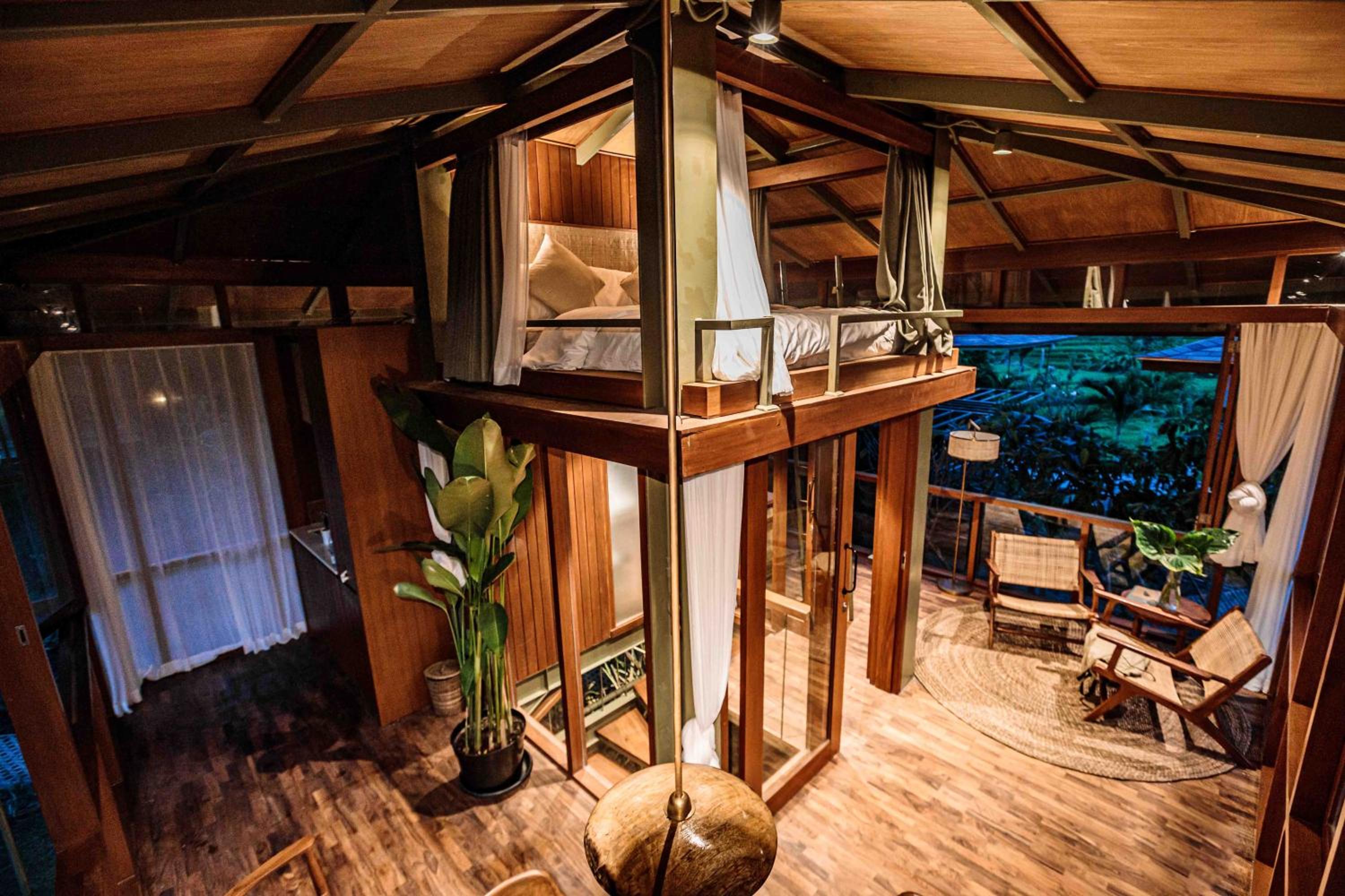 Treehouse Ficus - Photo 1